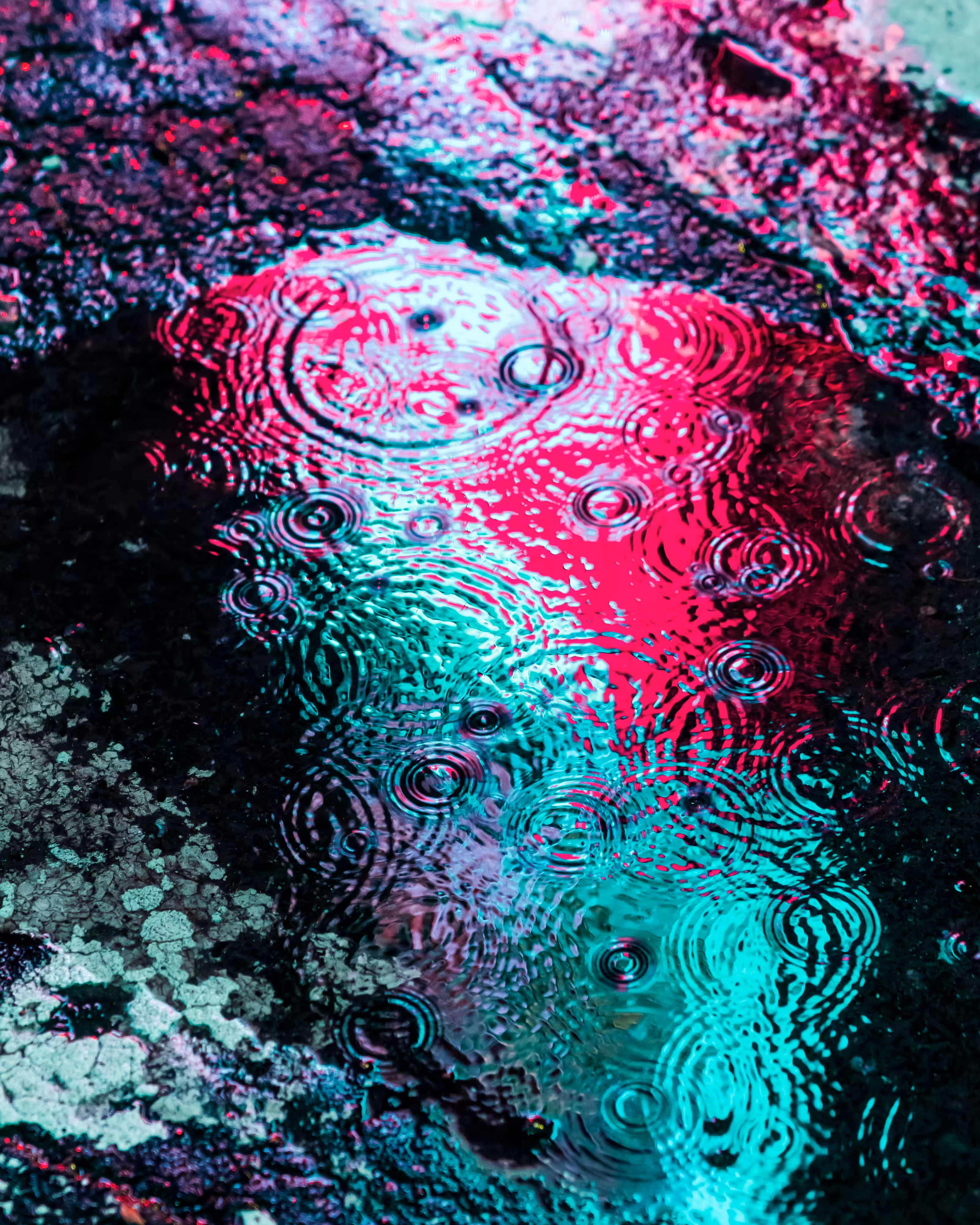 DRIP DROP: DRIP #860