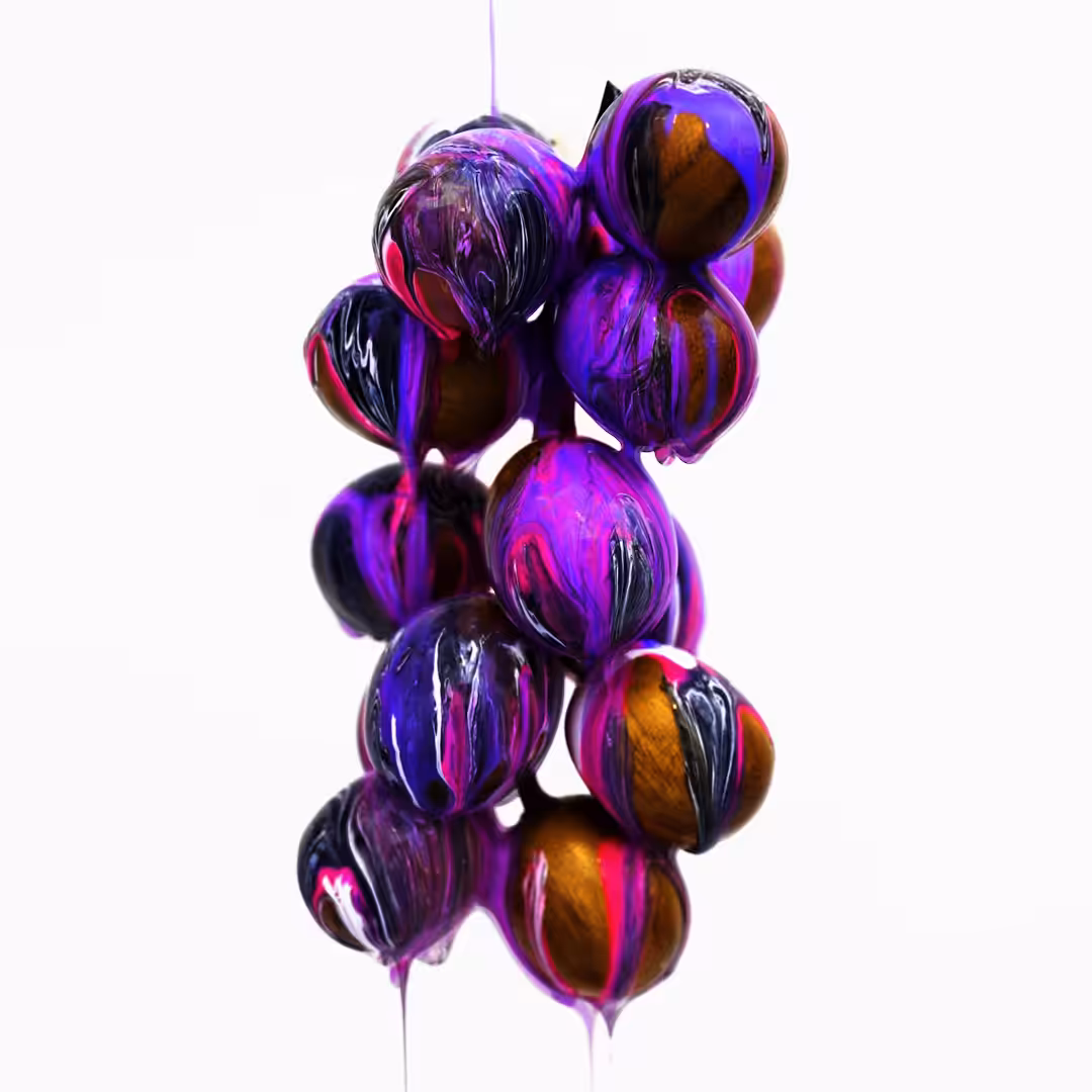 I am not a bunch of grapes 002