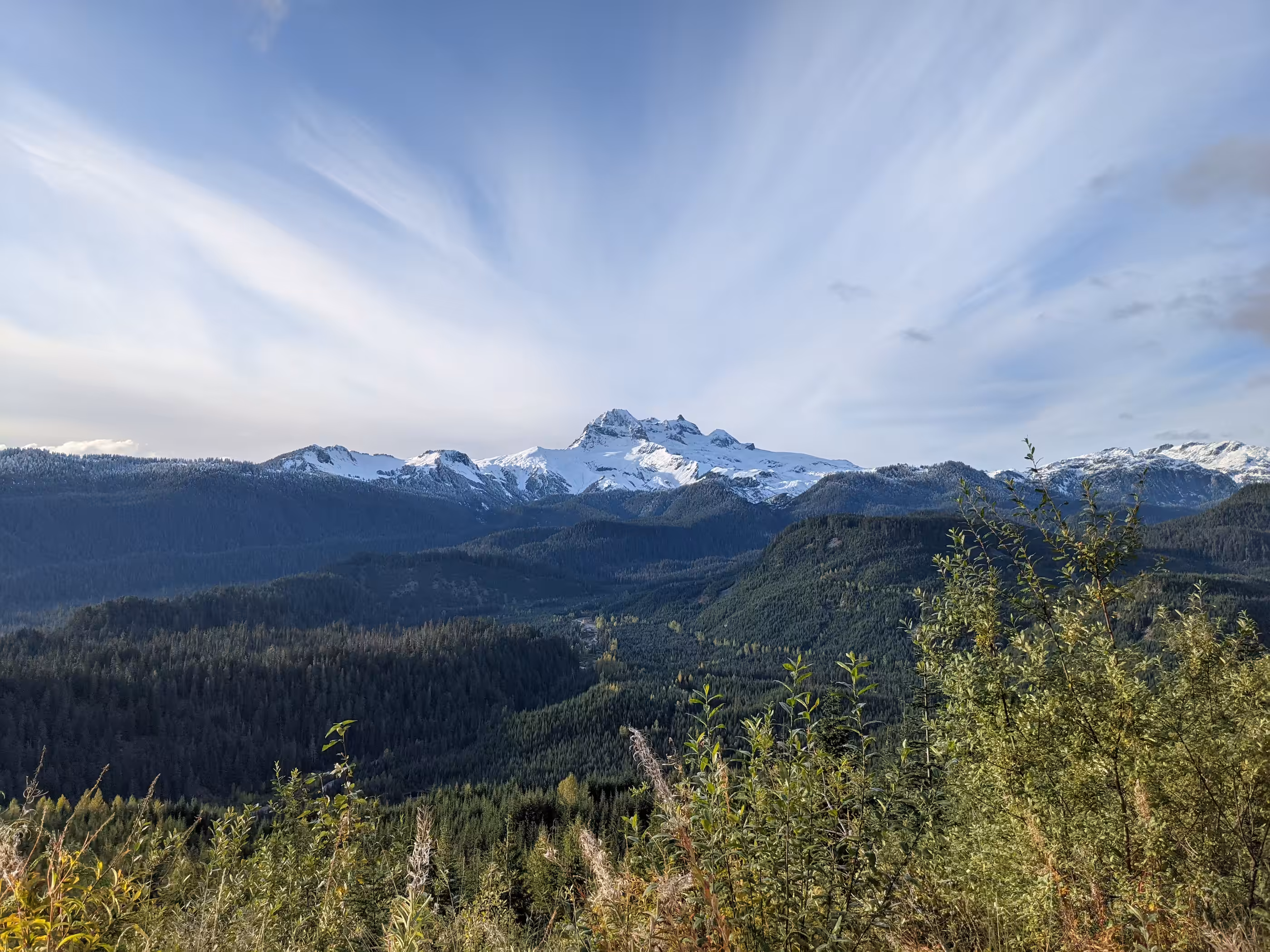 Garibaldi
