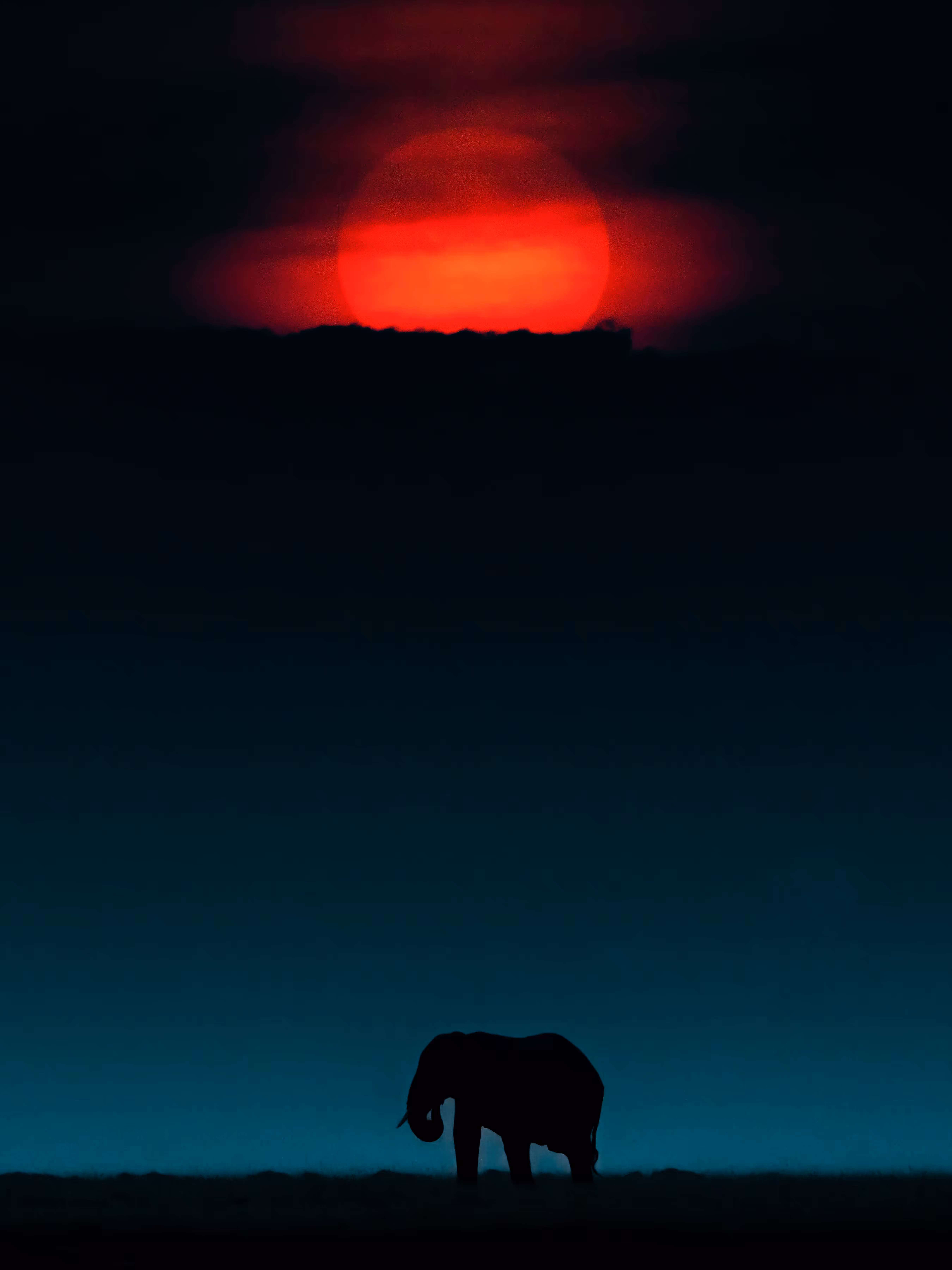 Rise of the Giant