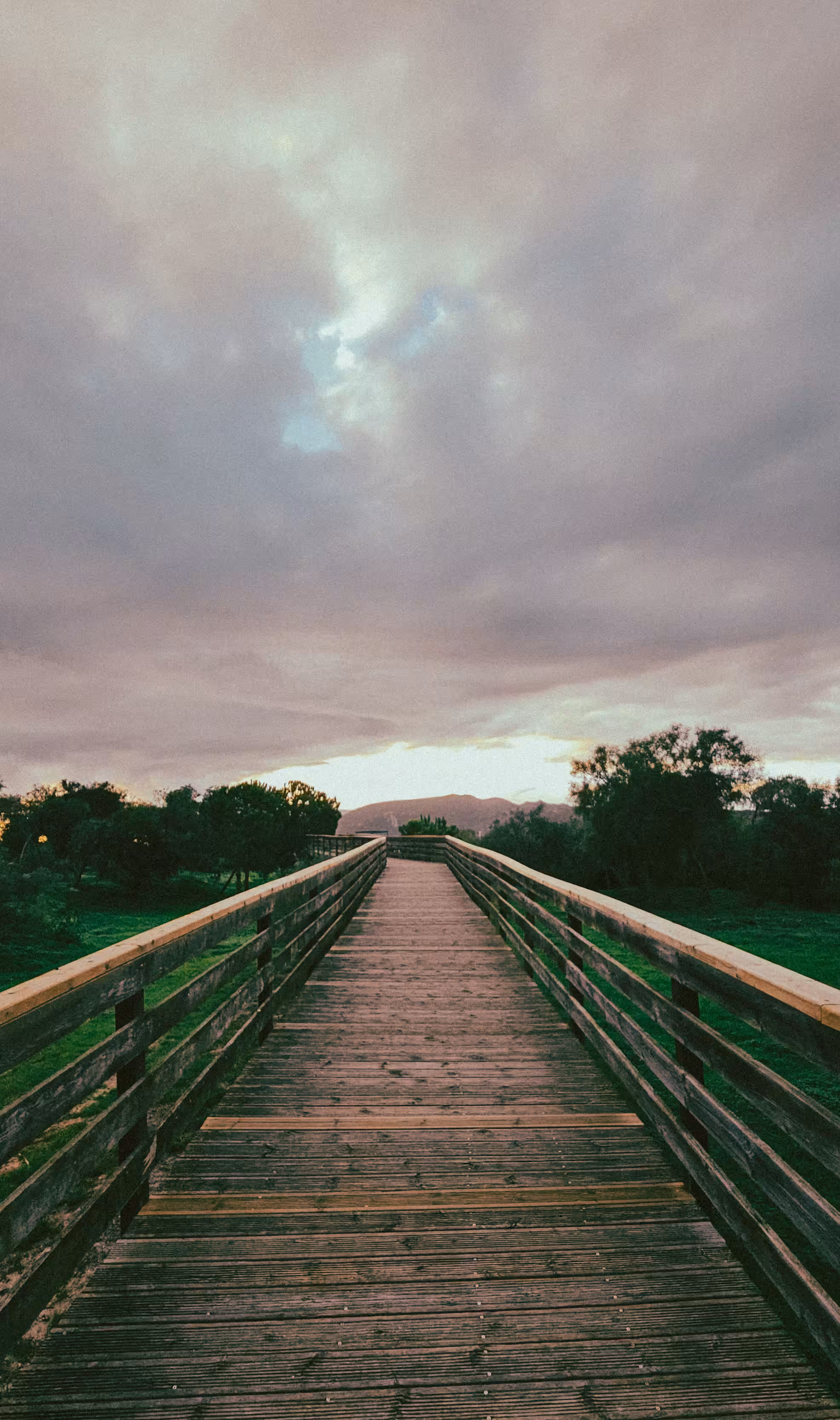 The walk