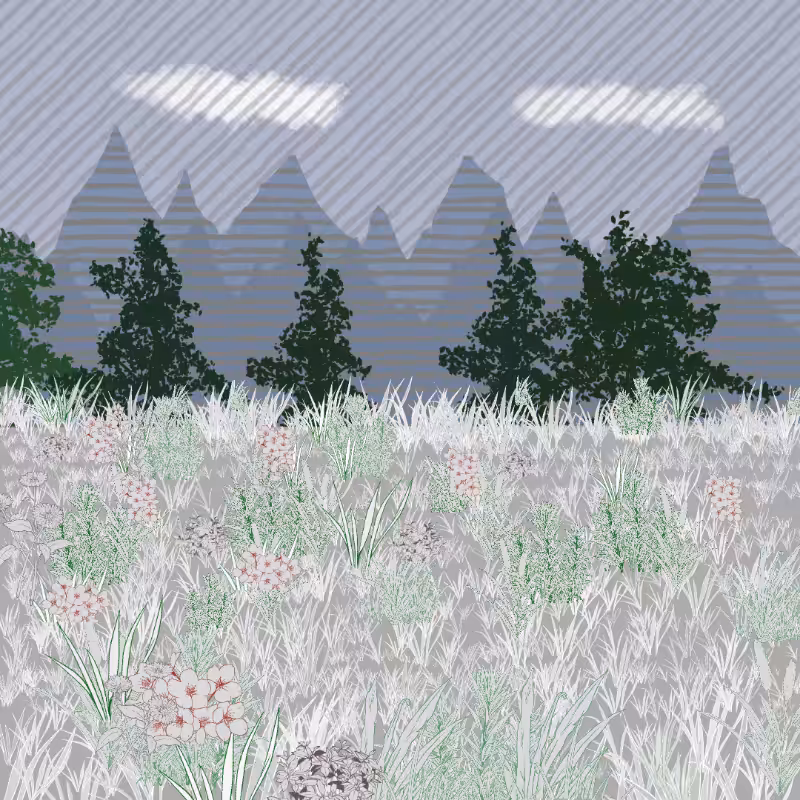 Mountain Meadows #50
