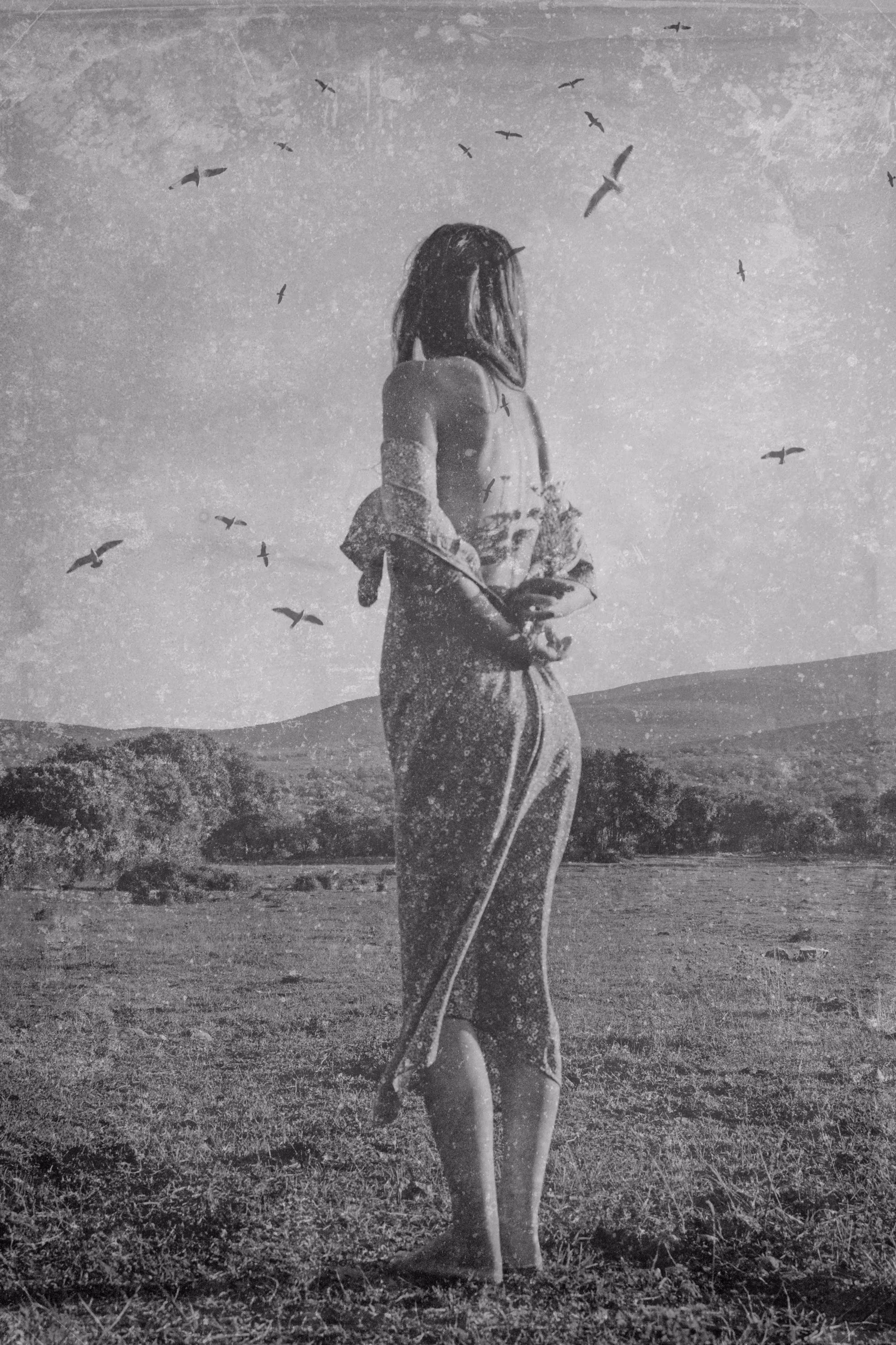 can I find my wings again?
