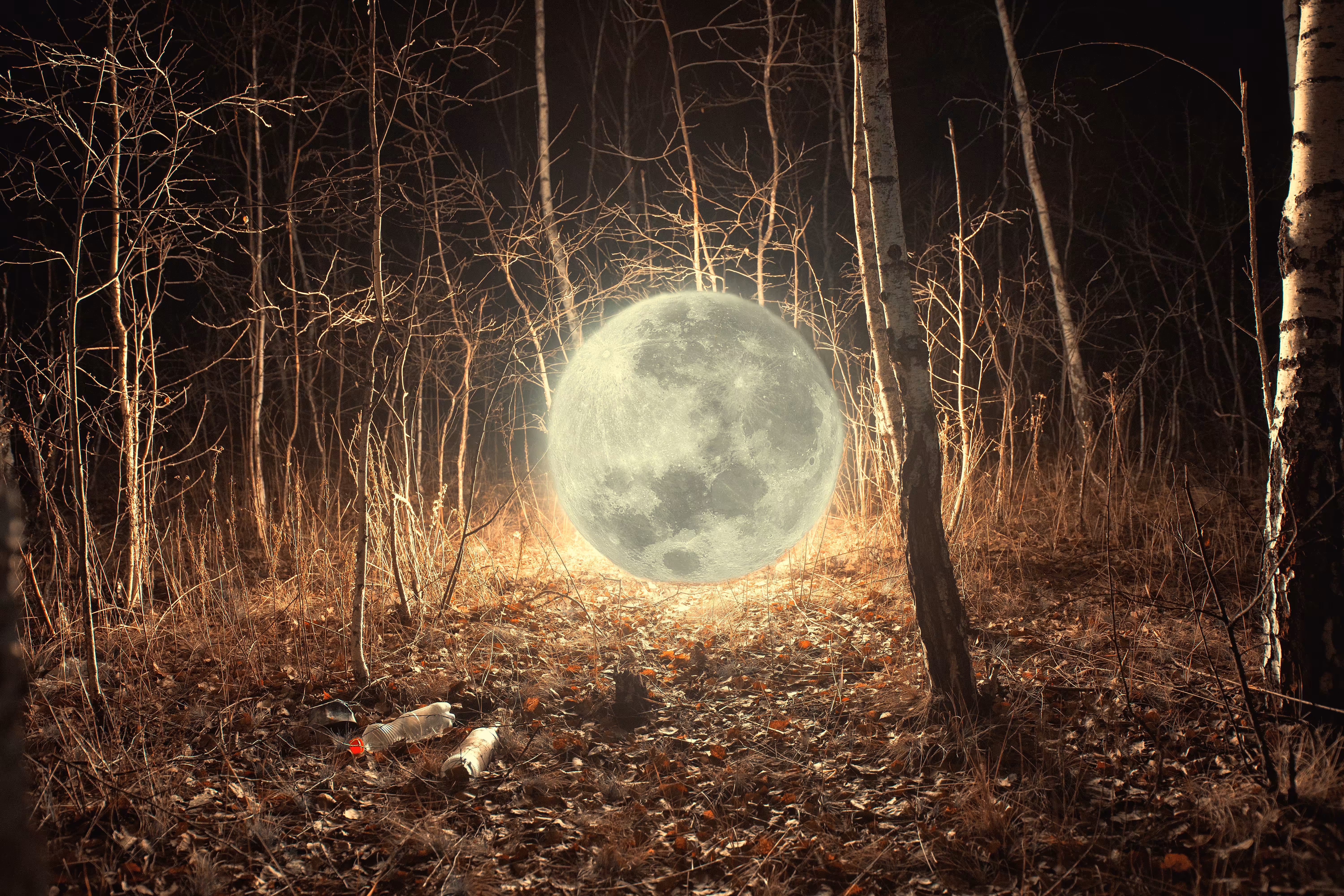The moon is already low