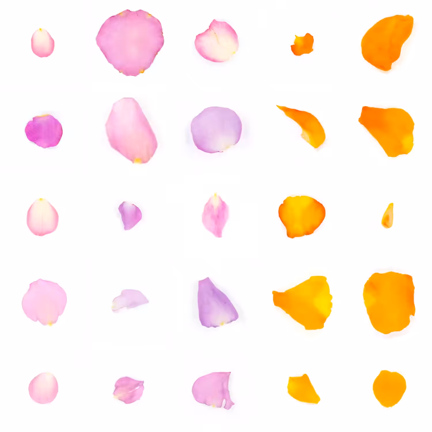 Infinite Petals 5x5#1221