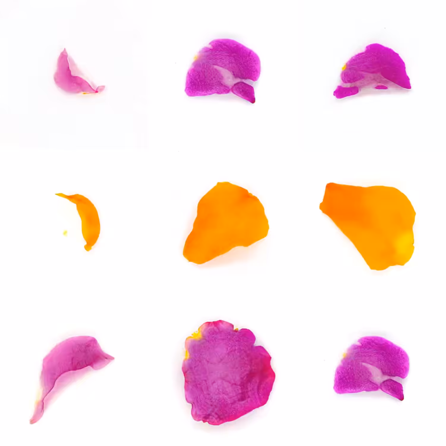 Infinite Petals 3x3#3325