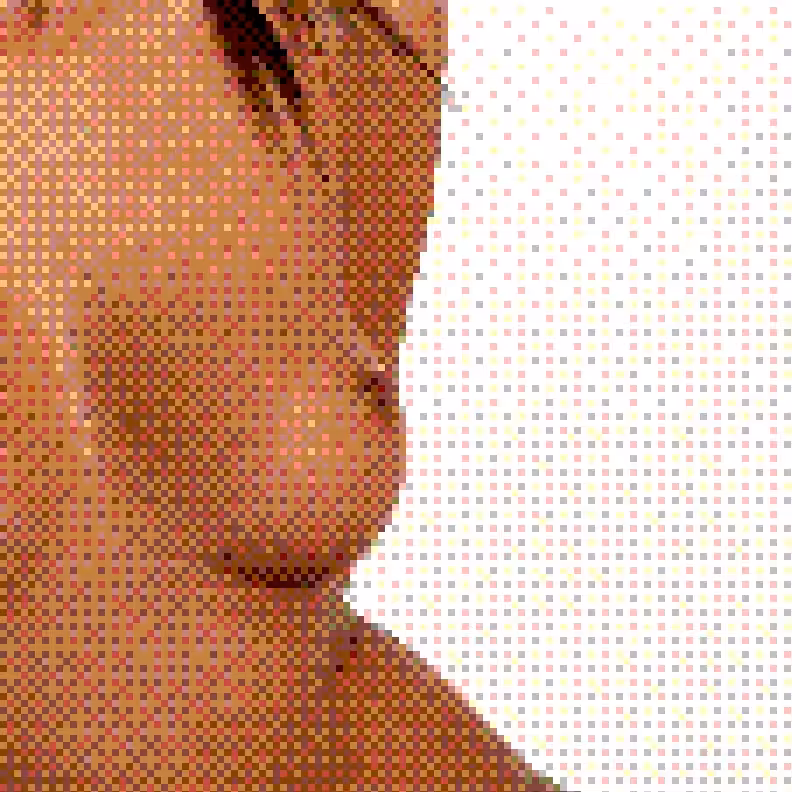 Censored Fragments 202