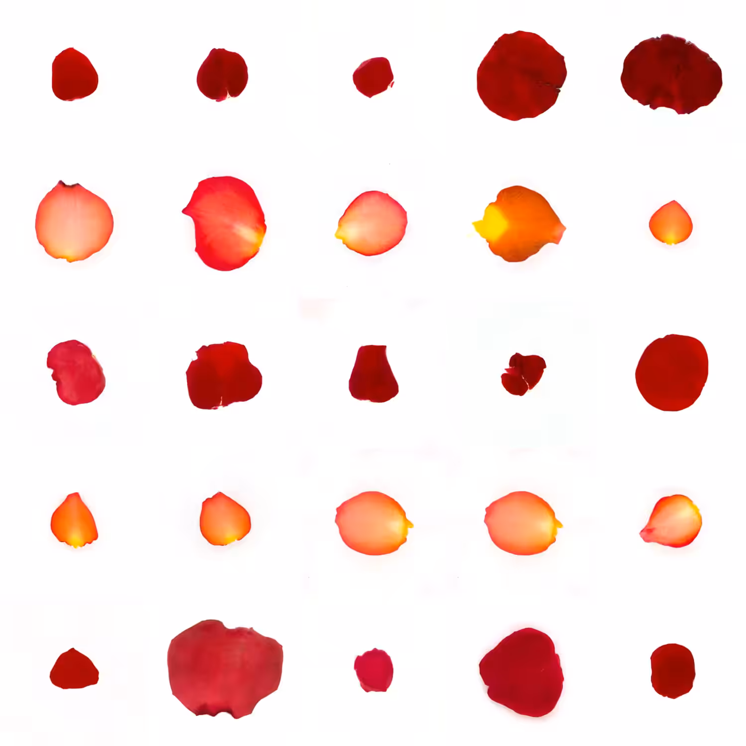Infinite Petals 5x5#707