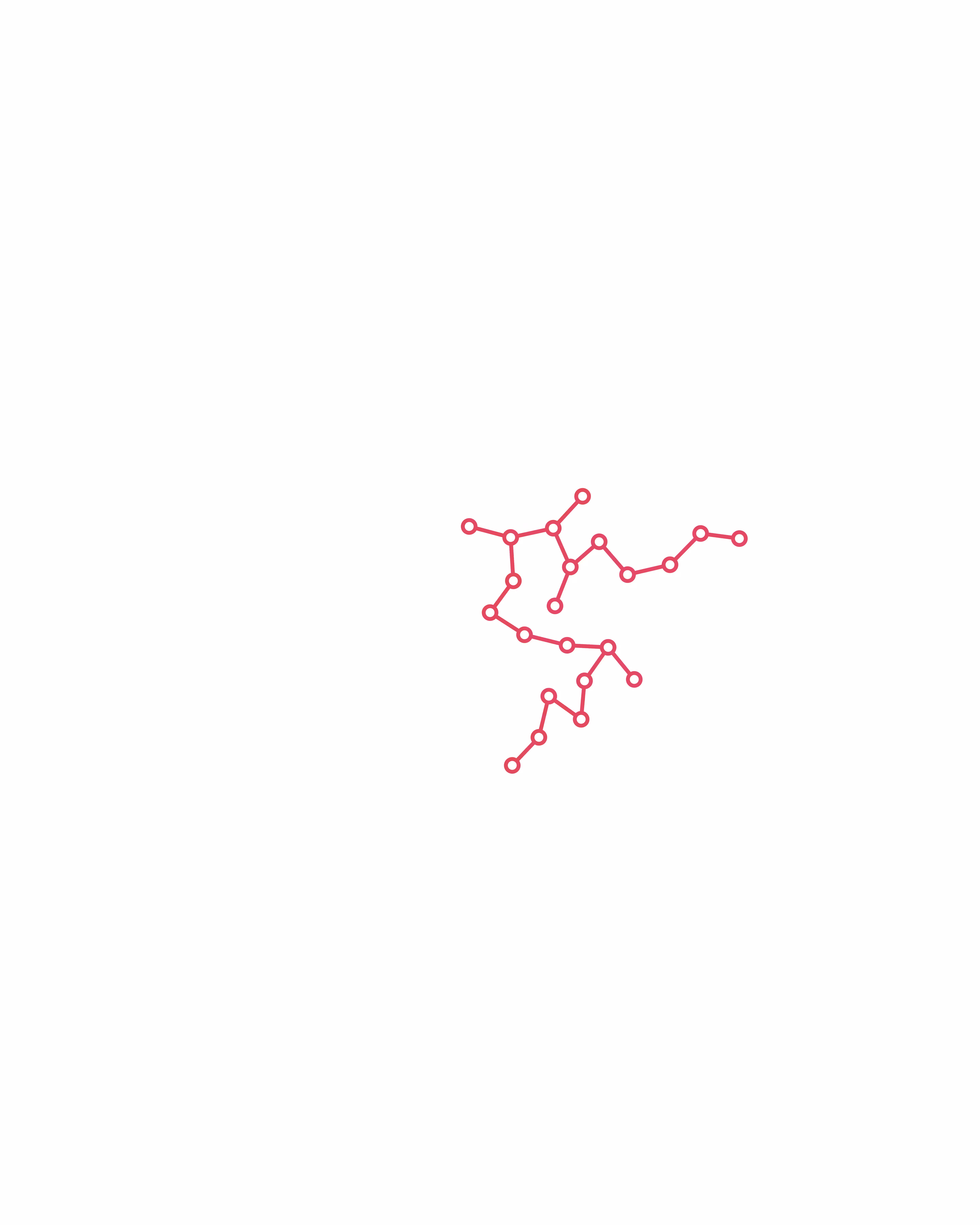 Networks #45