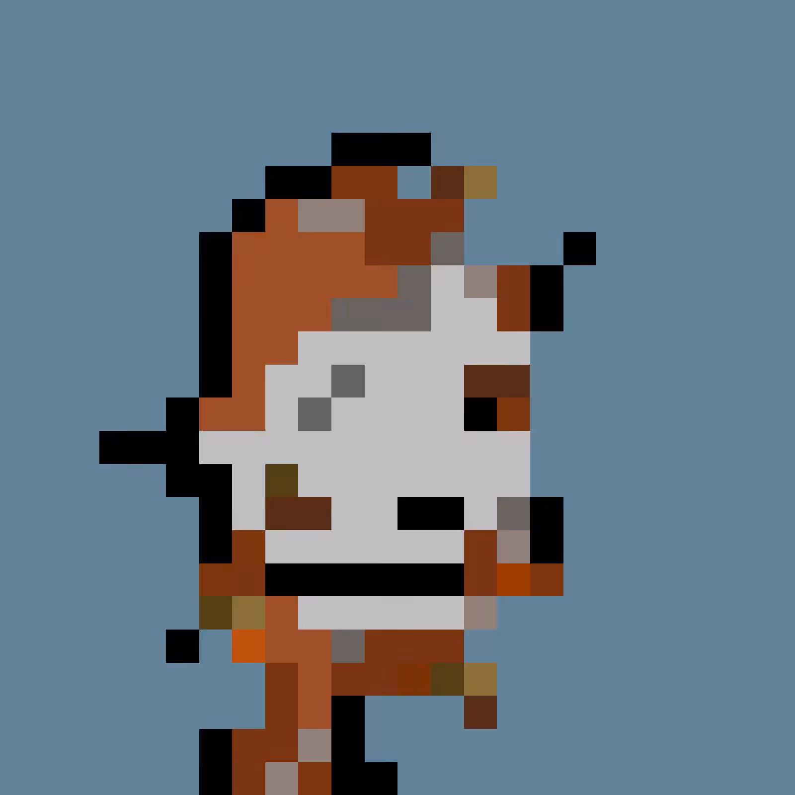 RoboPunks 2048 #481