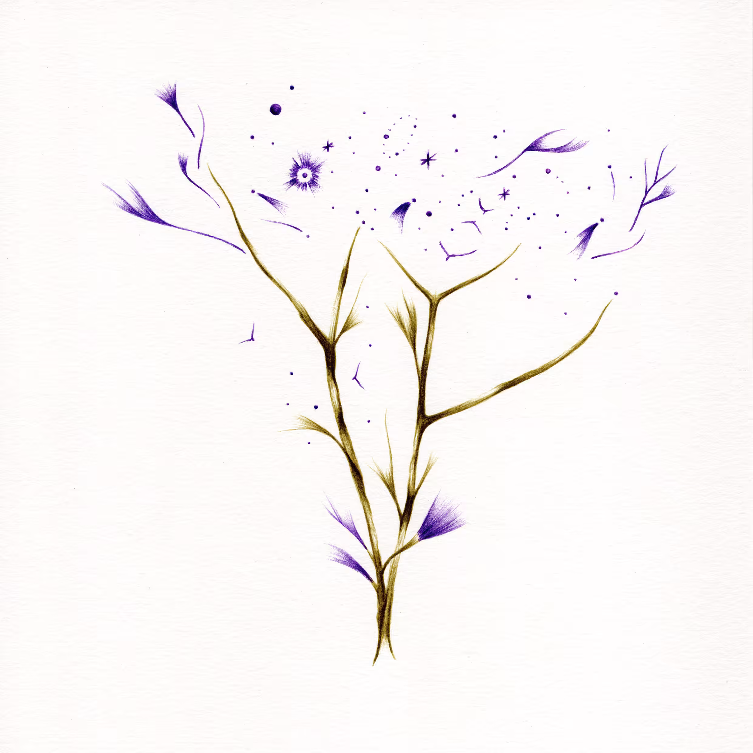 imaginary tree #17
