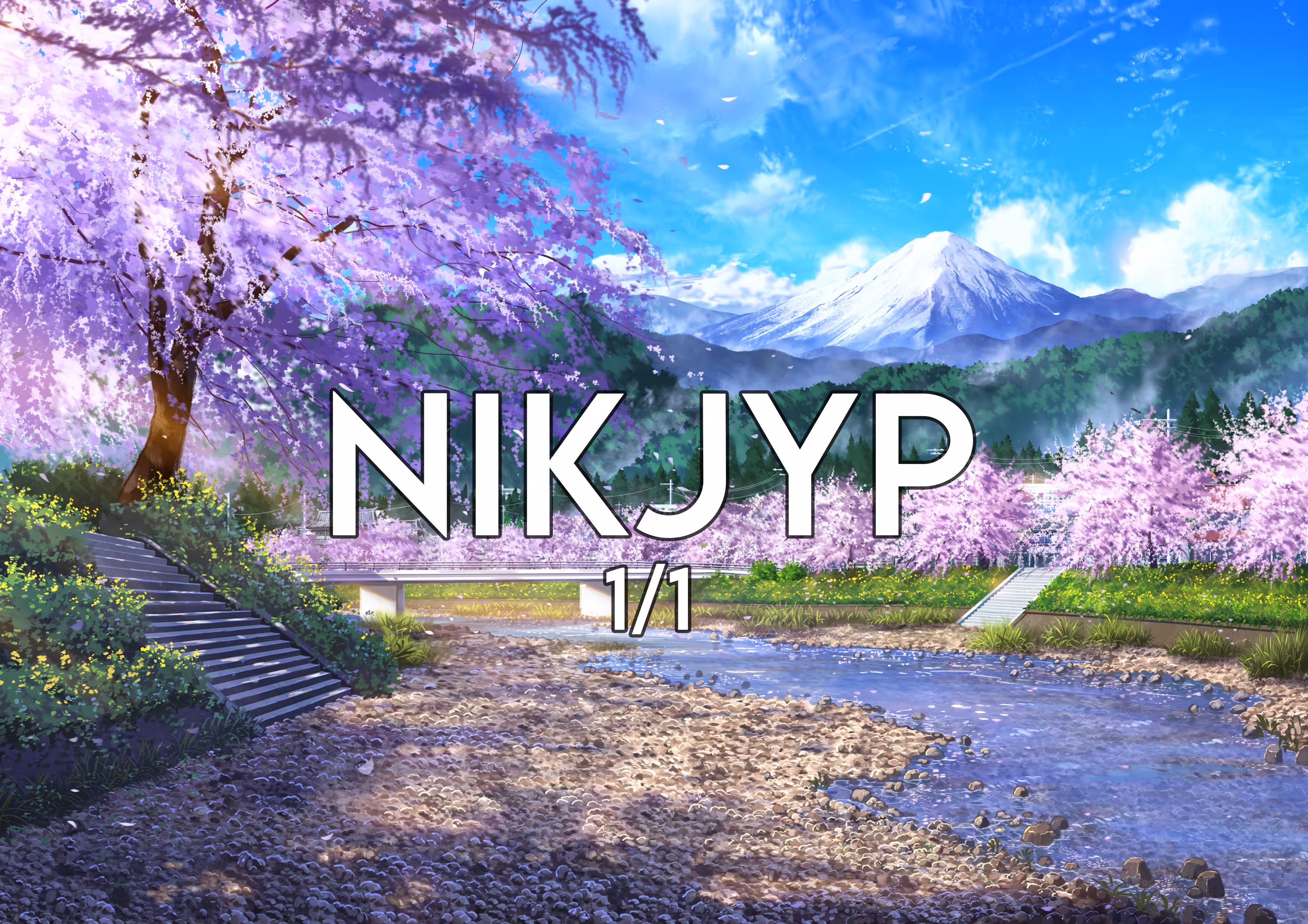 COLLECTION: NIKJYP COLLECTION