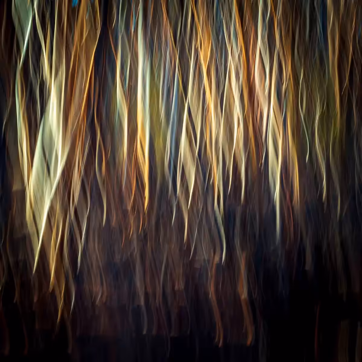 Twisted Arbor