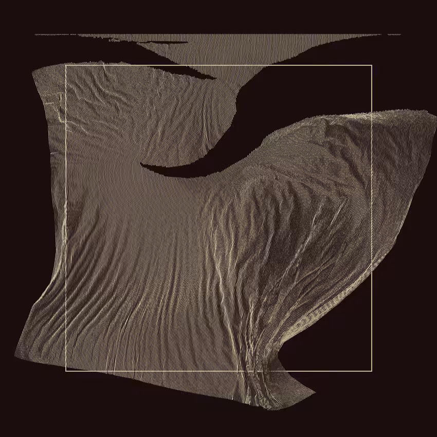 Fibril #343