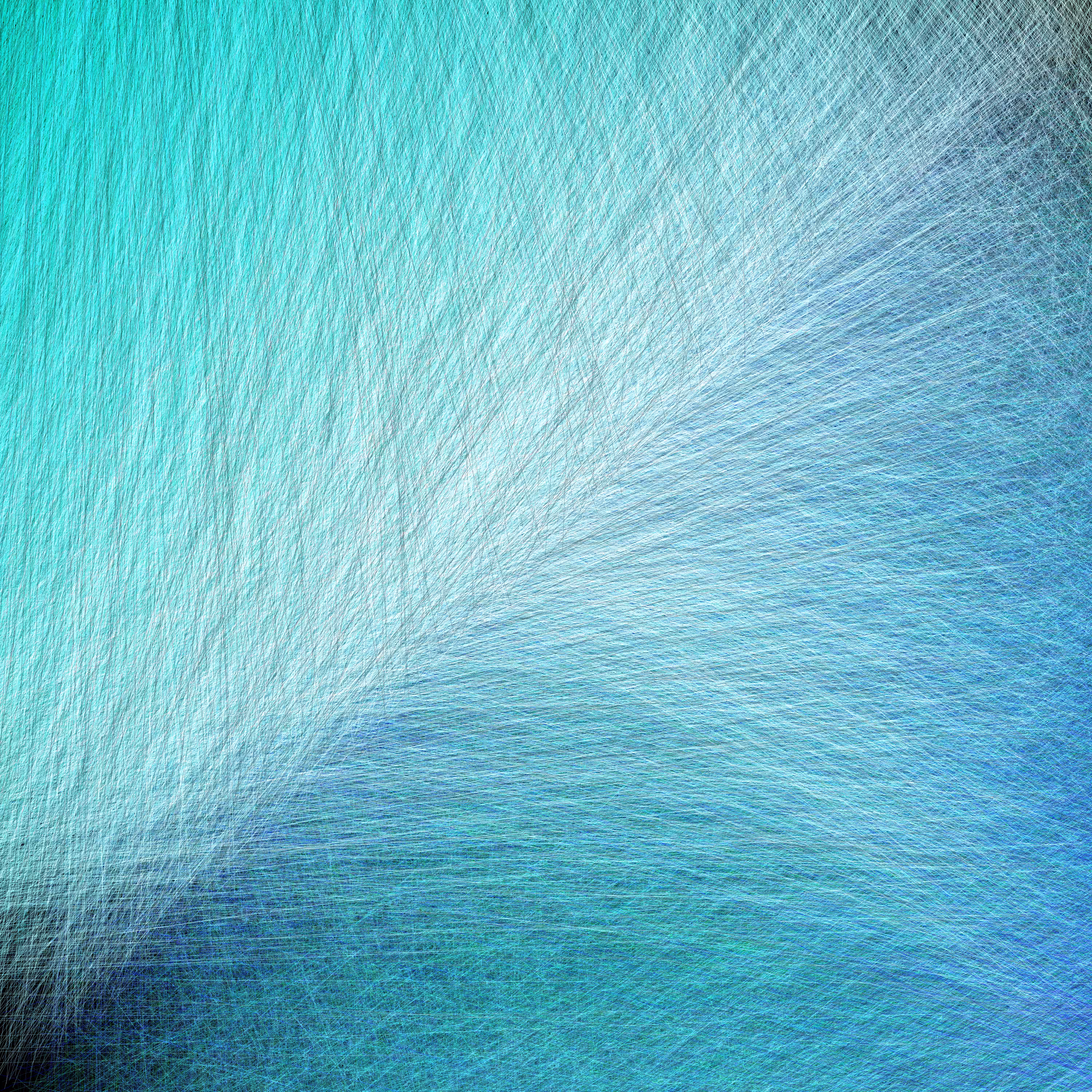 Ephemera Fragments #7