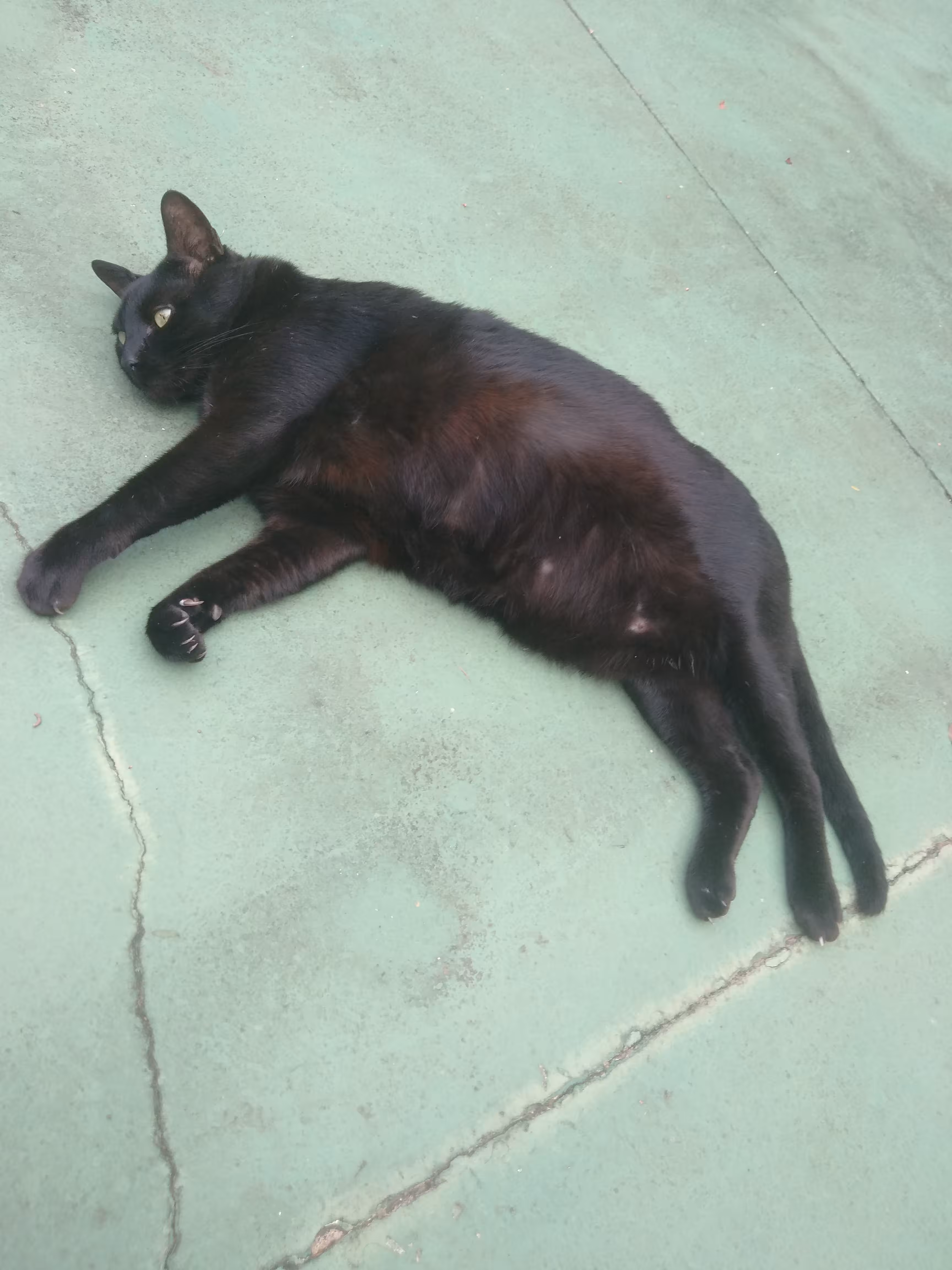 Joaquim