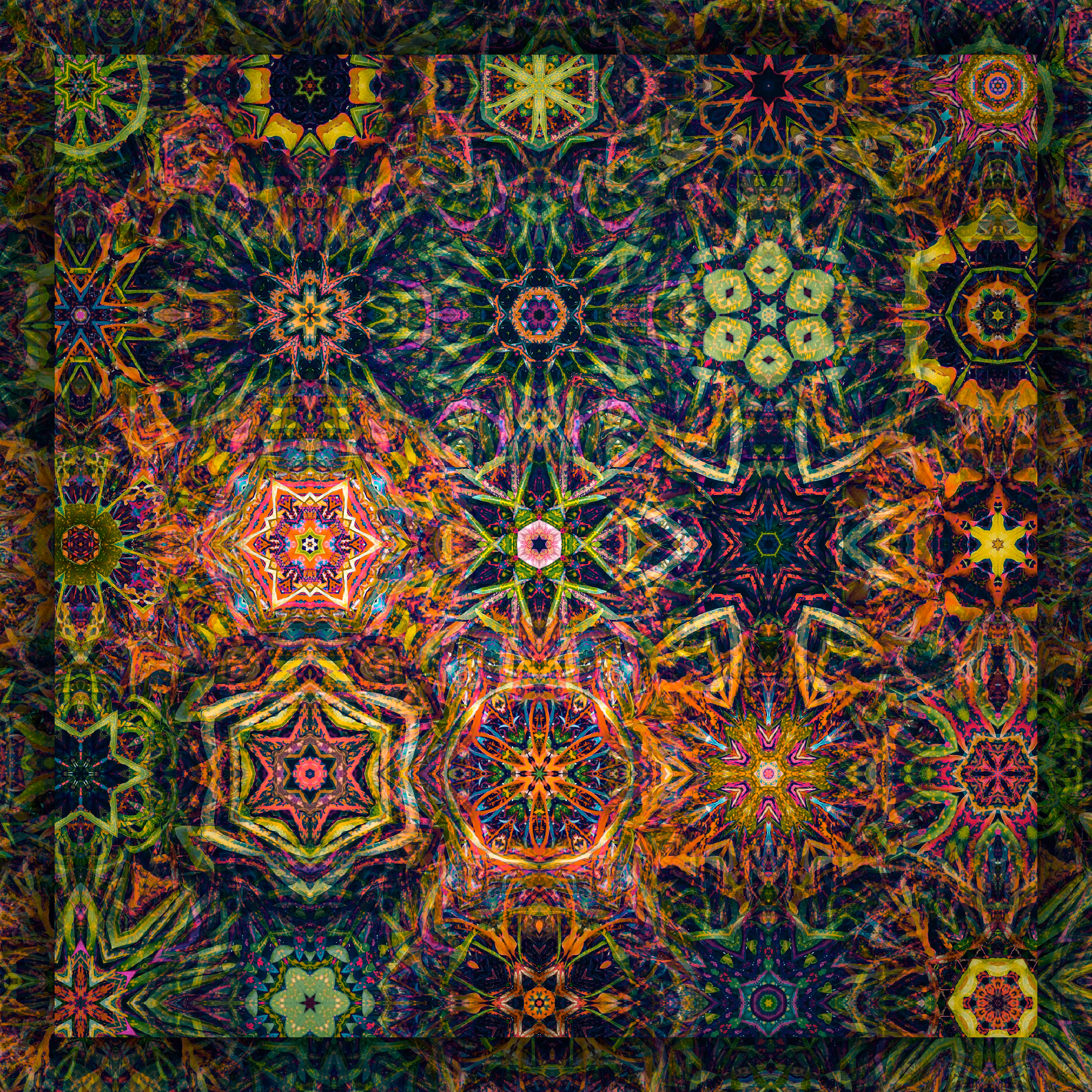 explosive foliage