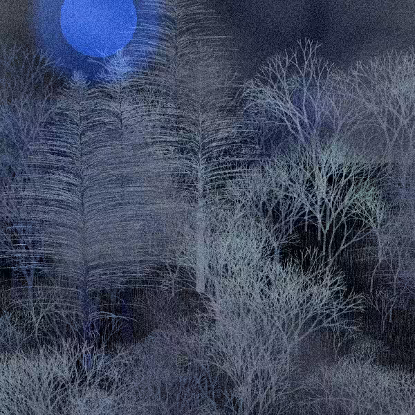 Moonlit Native Bush #5