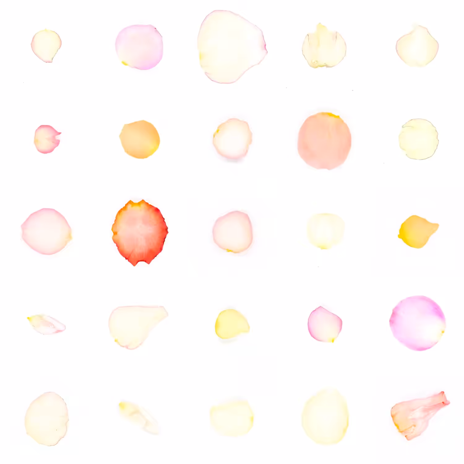 Infinite Petals 5x5#20546