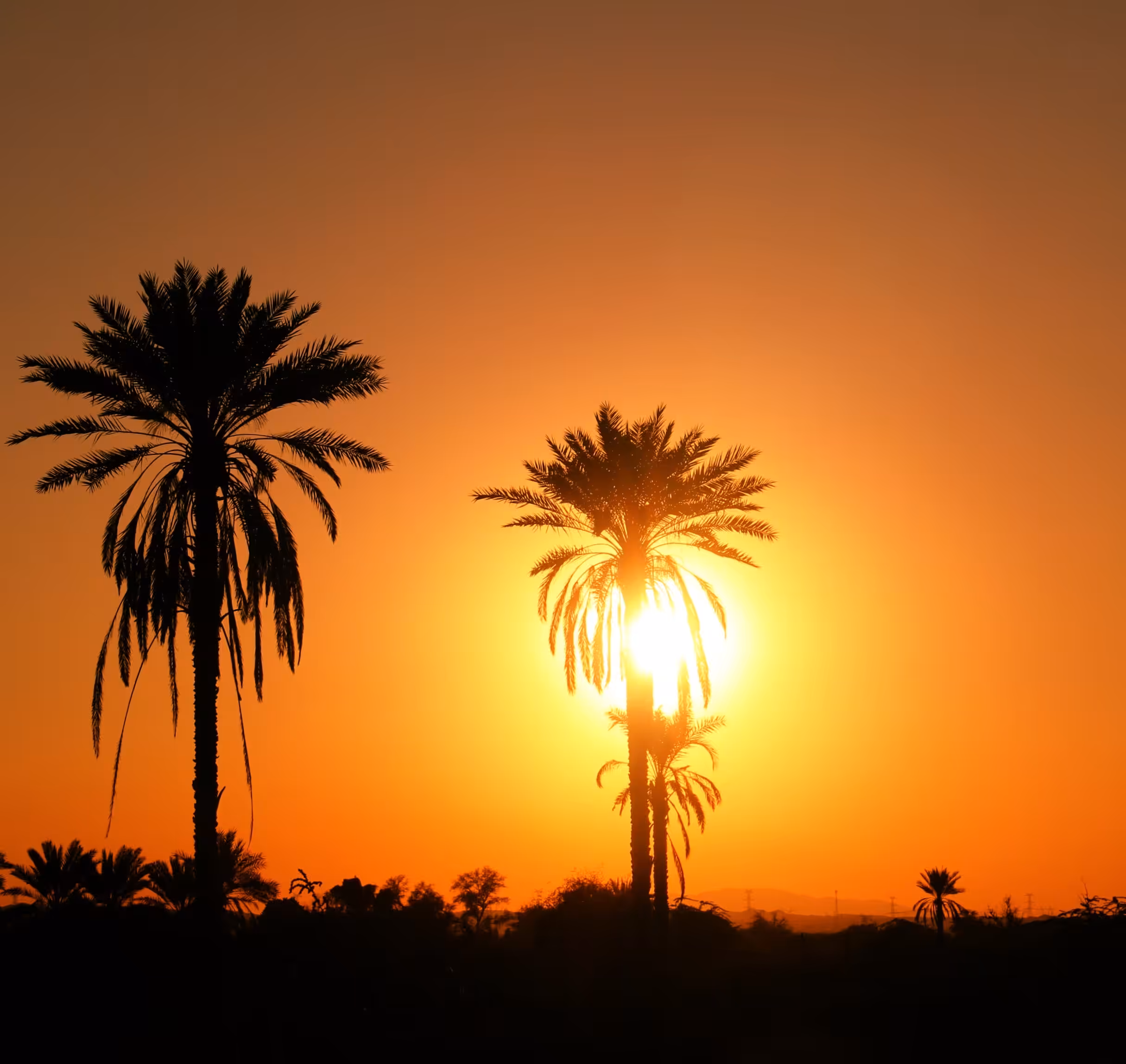 Orange sunset 