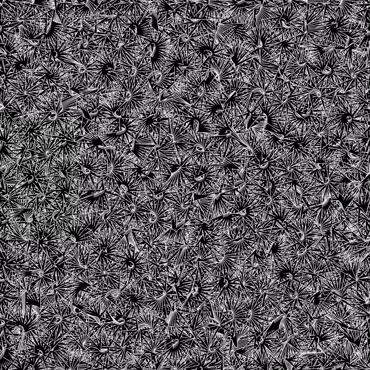 Fantacy Carpet #61