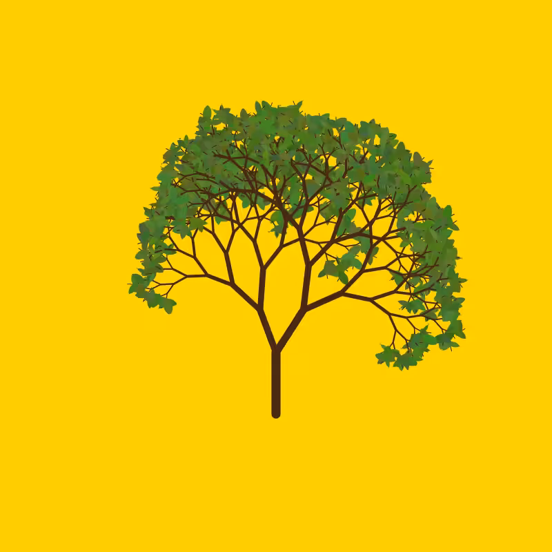 Tree of Life #6