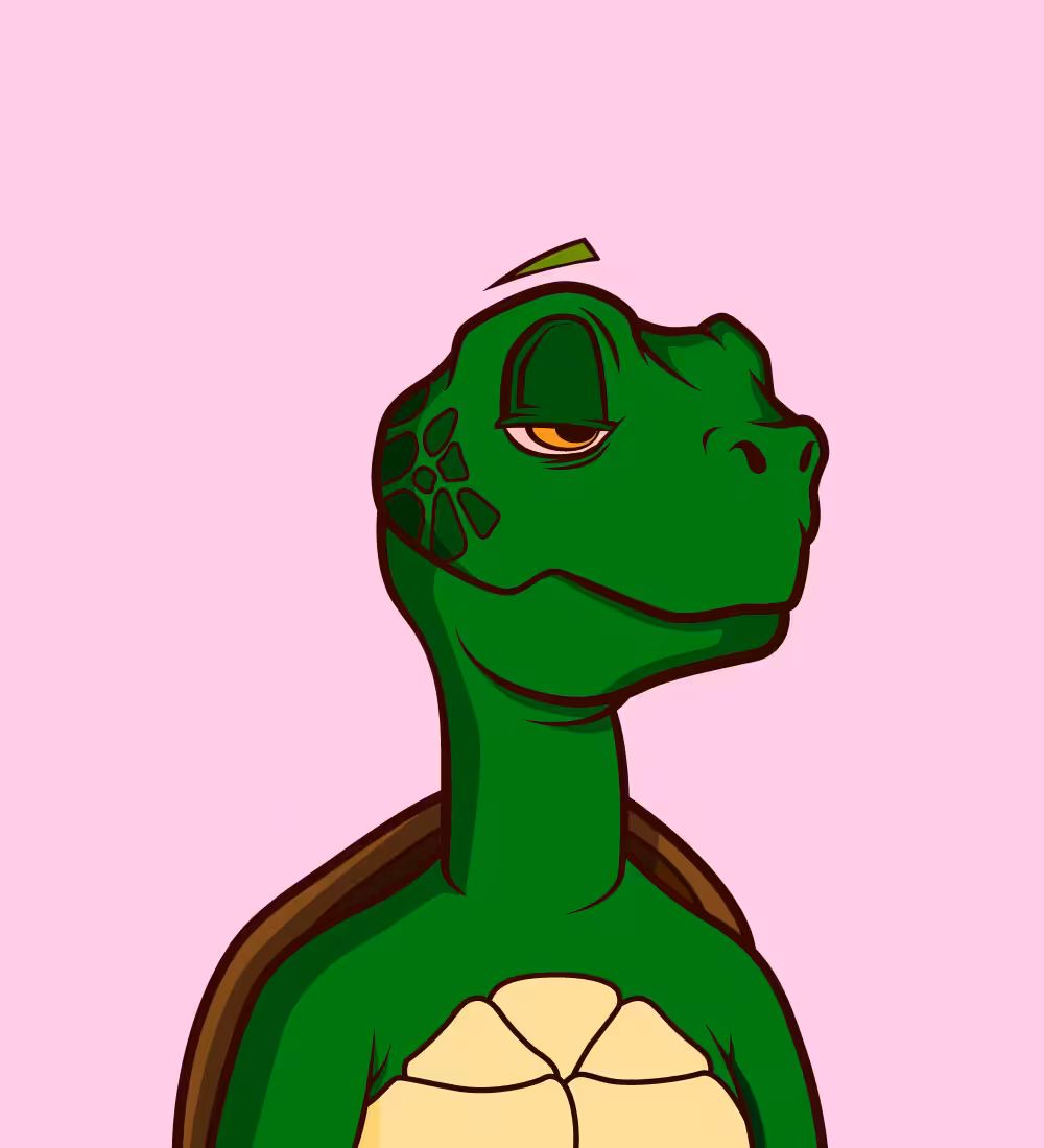 Tiny Turtle 231