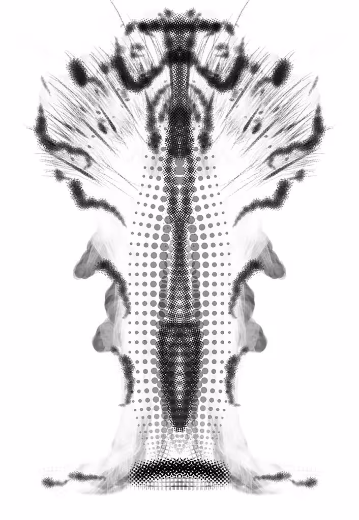 CC204