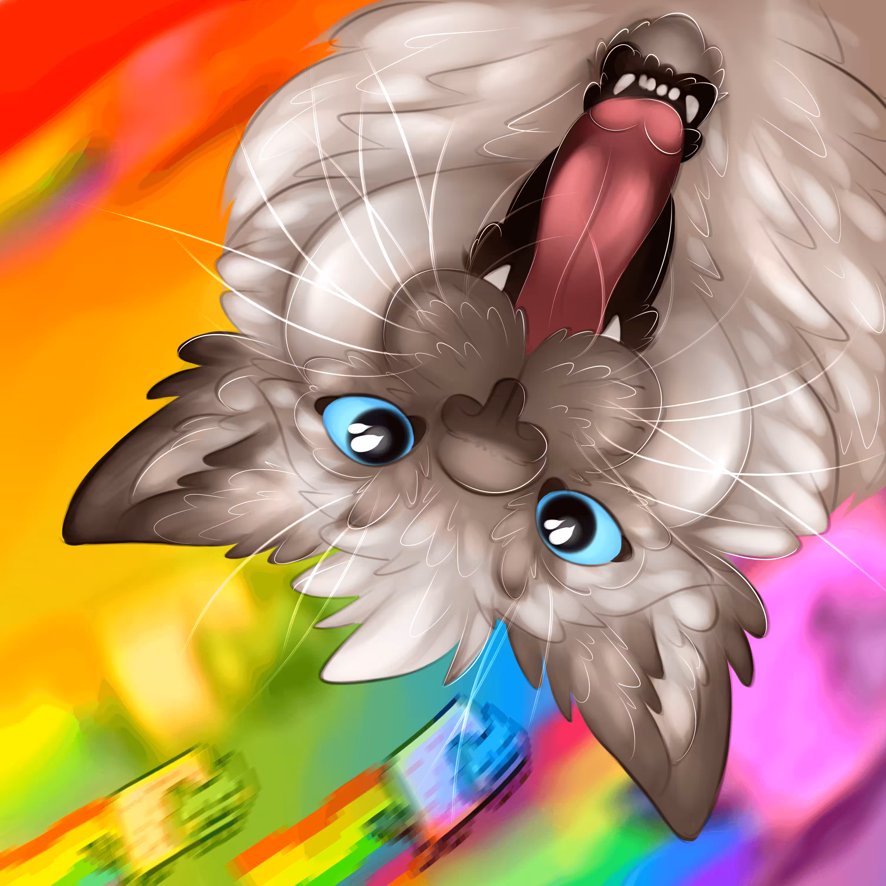 Not nyan cat
