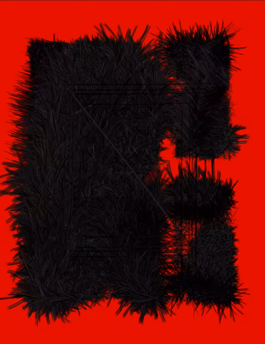 disorientation #226
