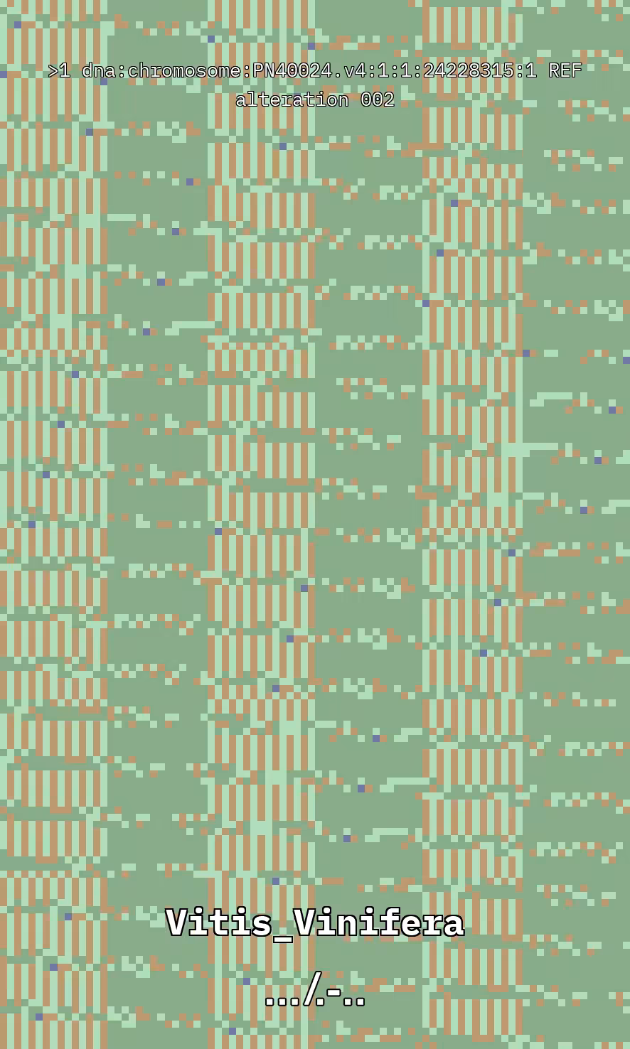 Vitis DNA Alteration #2