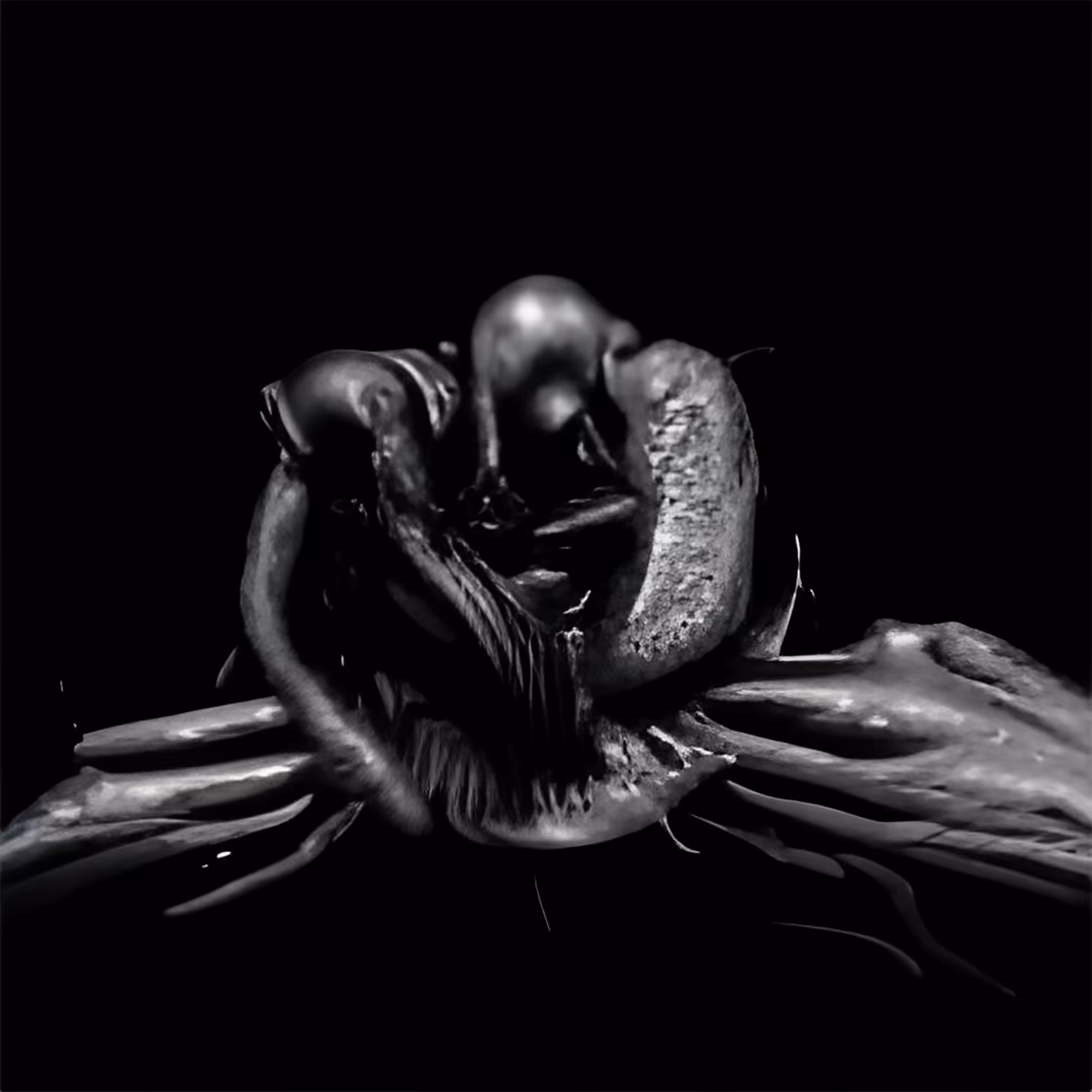 THE MISSING LINK IS ALIEN SPAWN