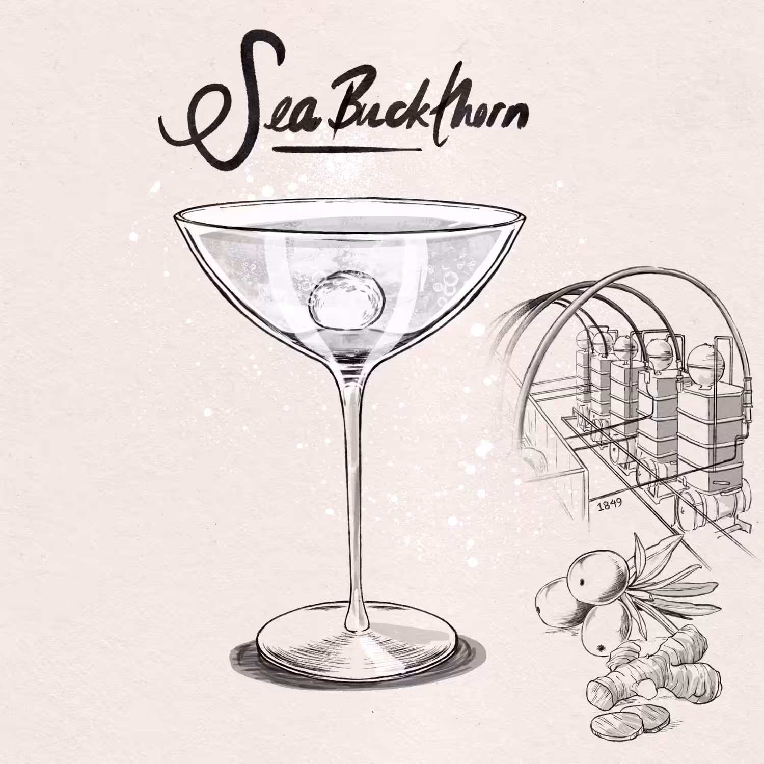 Seabuckthorn