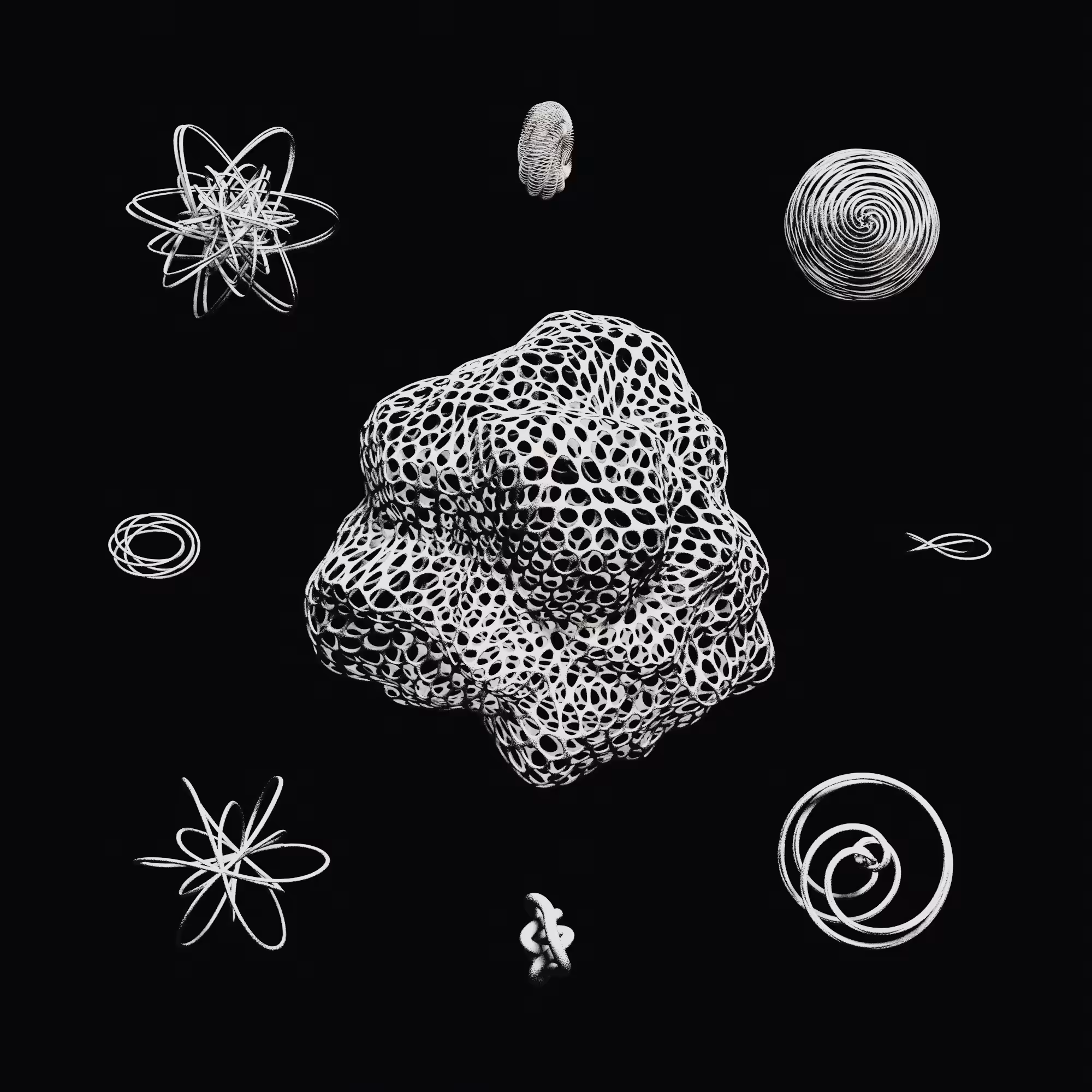 Torus specimen