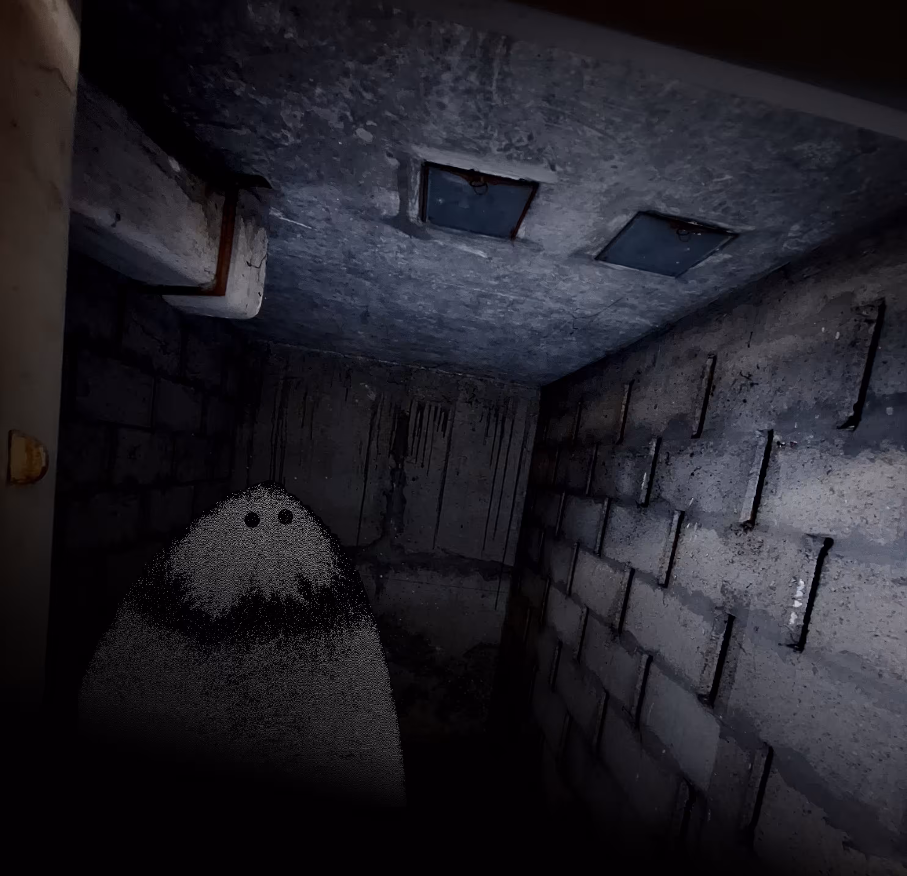 Basement Poux
