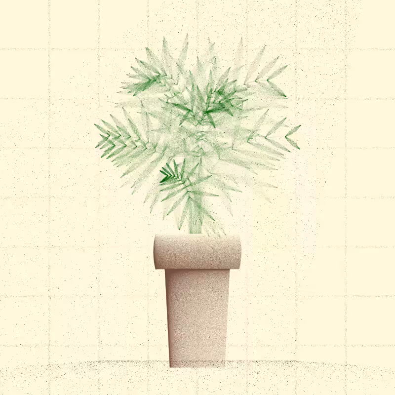 🌱 Potted & Printed #357