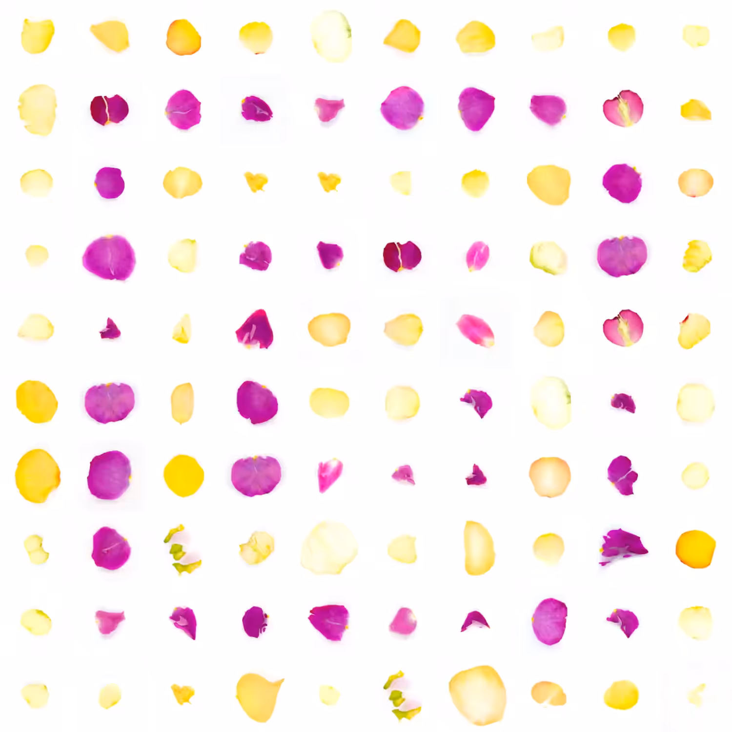 Infinite Petals 10x10#2804