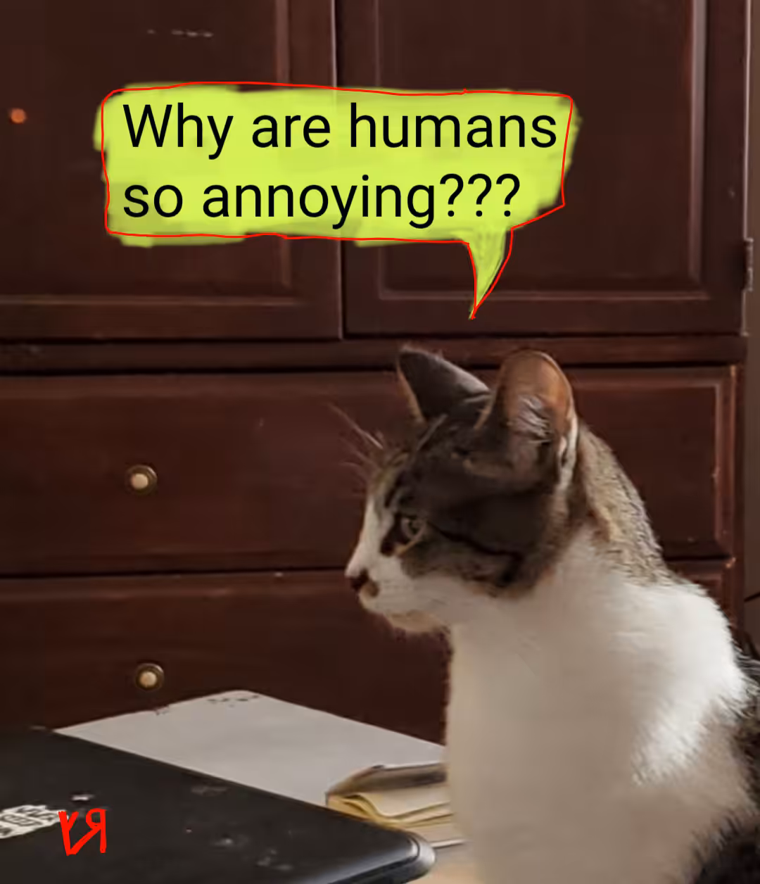 "Why Are Humans So Annoying?" by Richard F. Yates (Holy Fool)