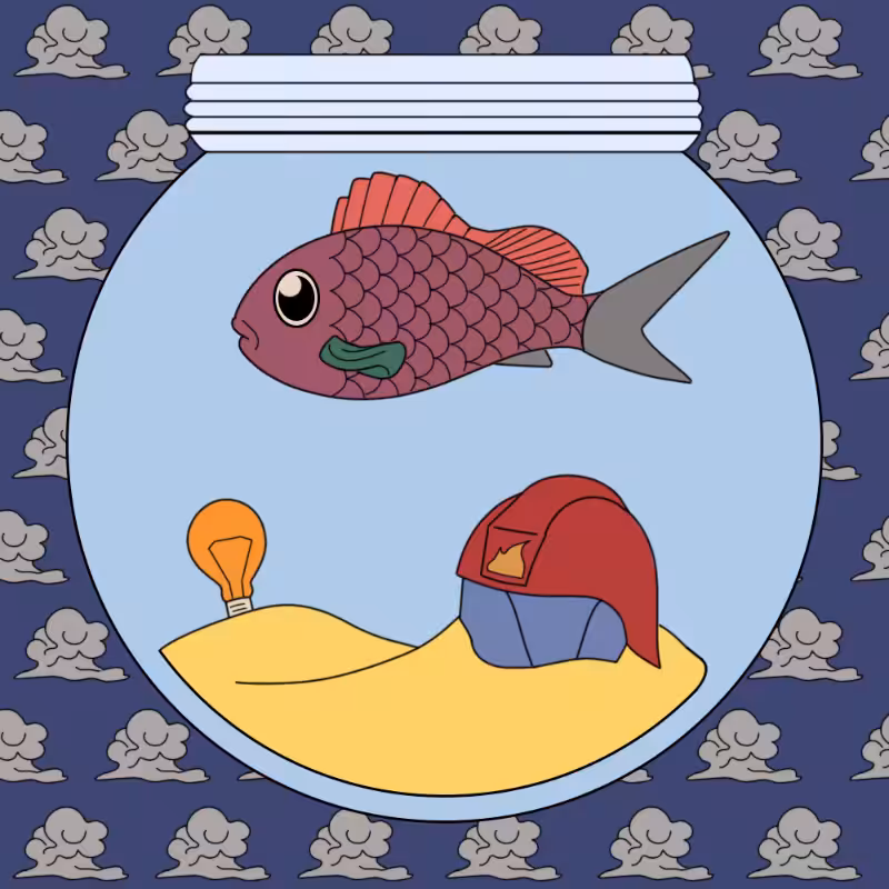 Fish_net #4
