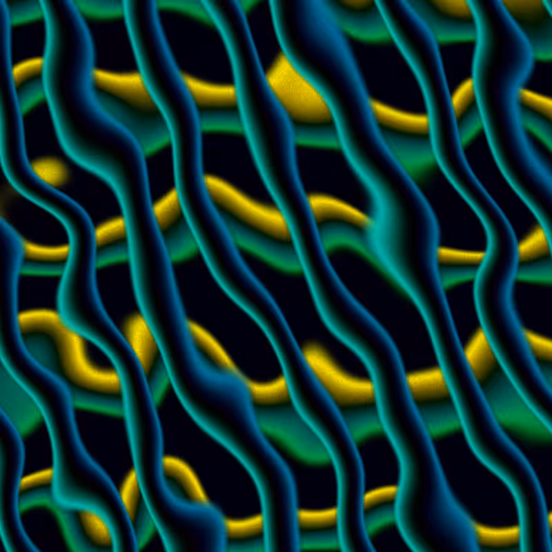Electric Worms #27