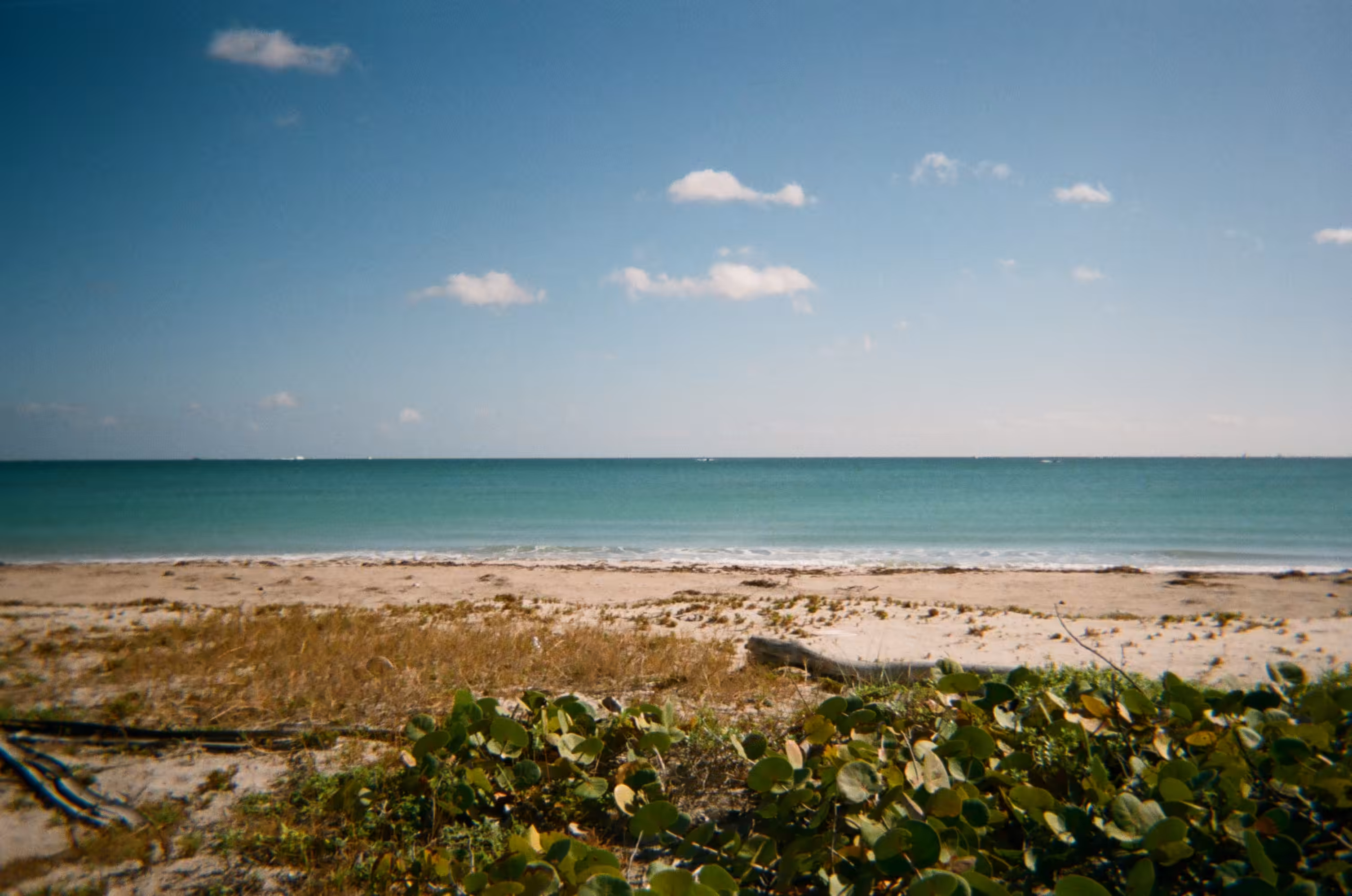 Hidden Shores