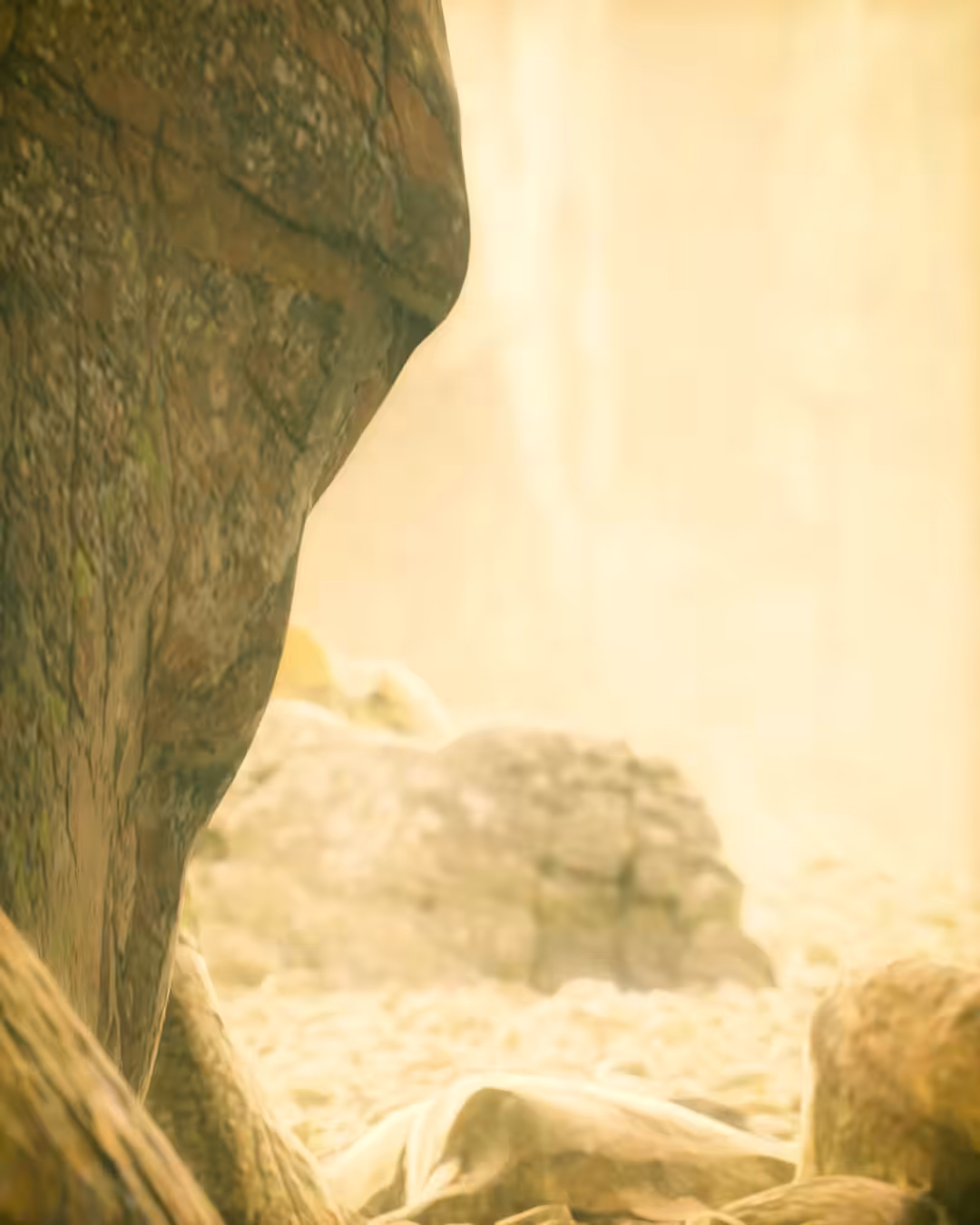 Uncharted Horizon