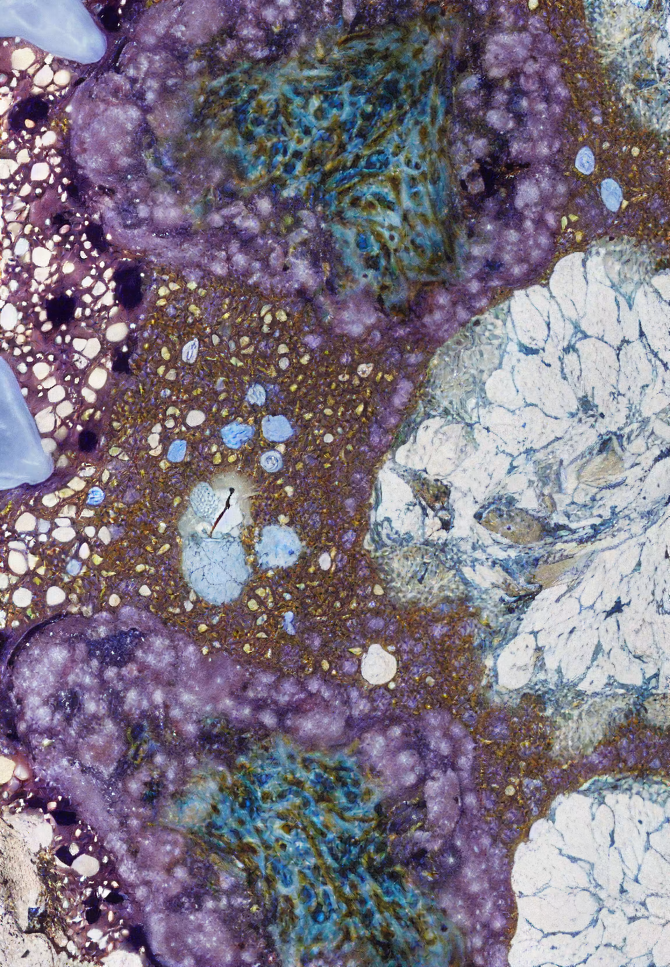 Histologia In Silico #108