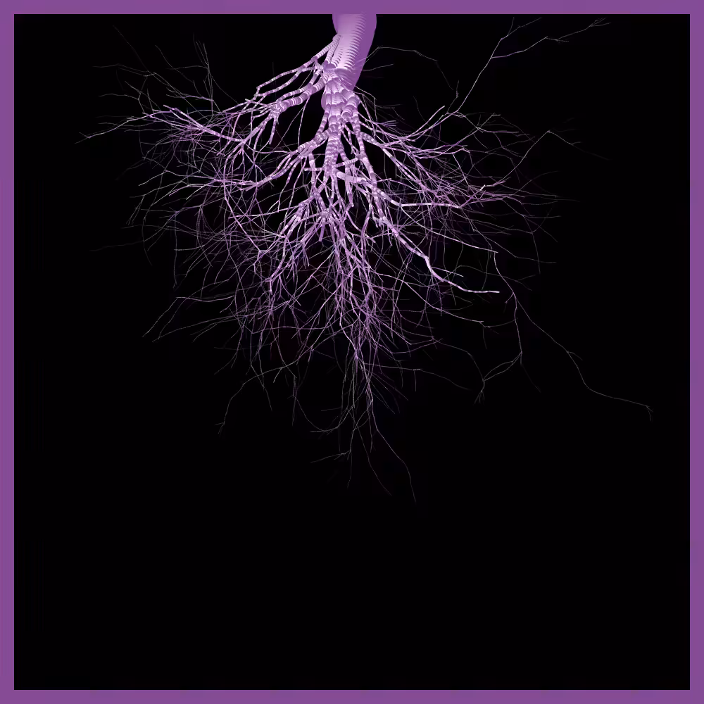 Arbres suspendus #38