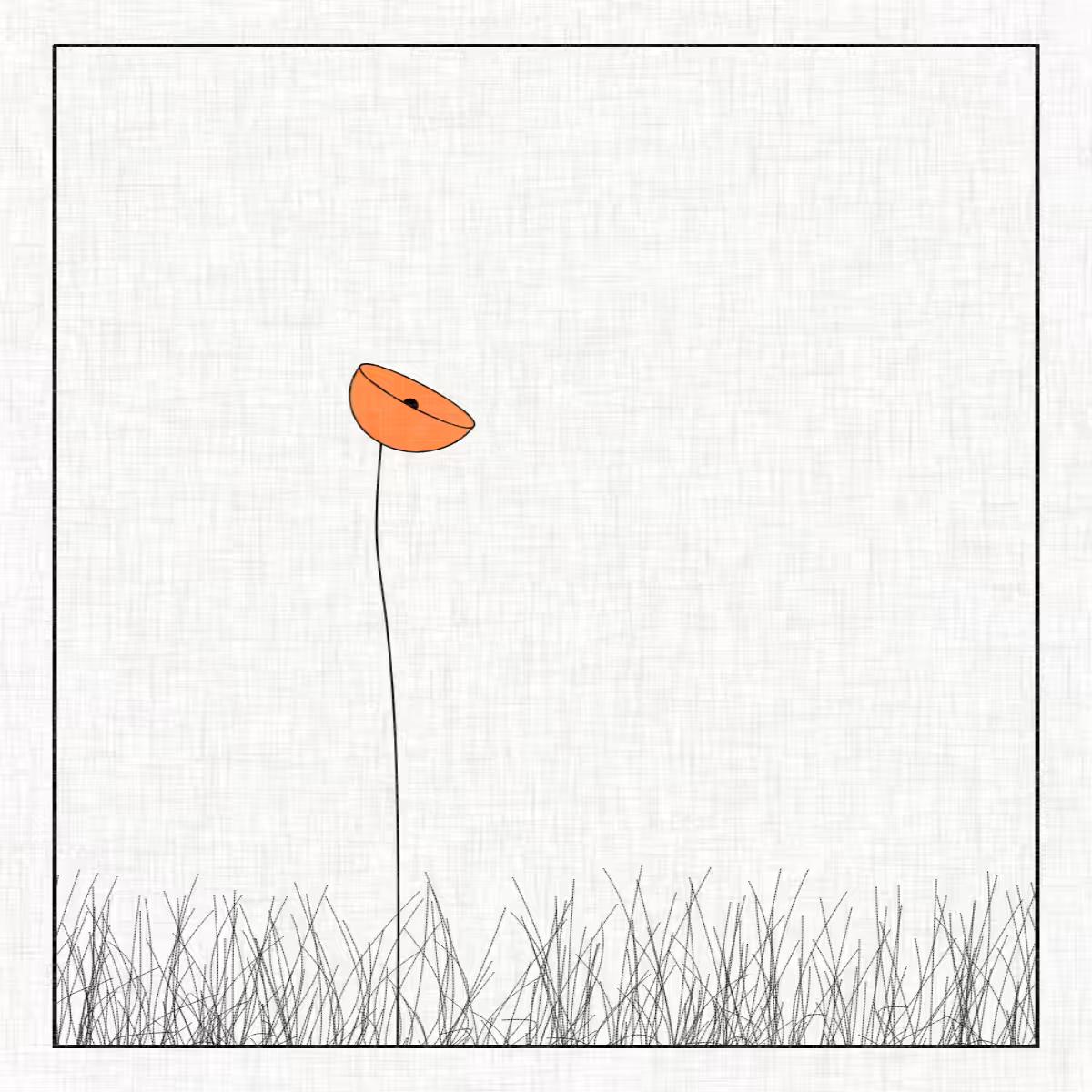 Flowers  #45