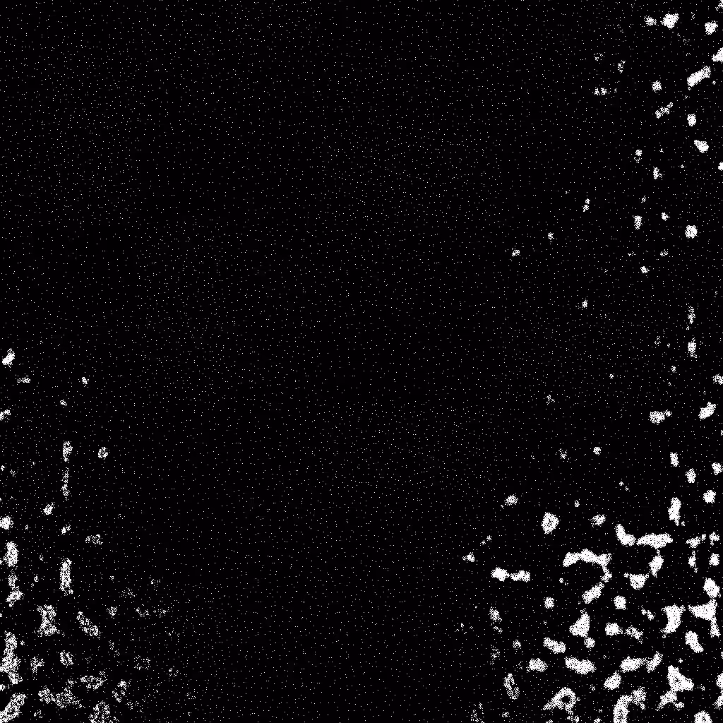 HIDDEN IN NOISE: Noise #223 