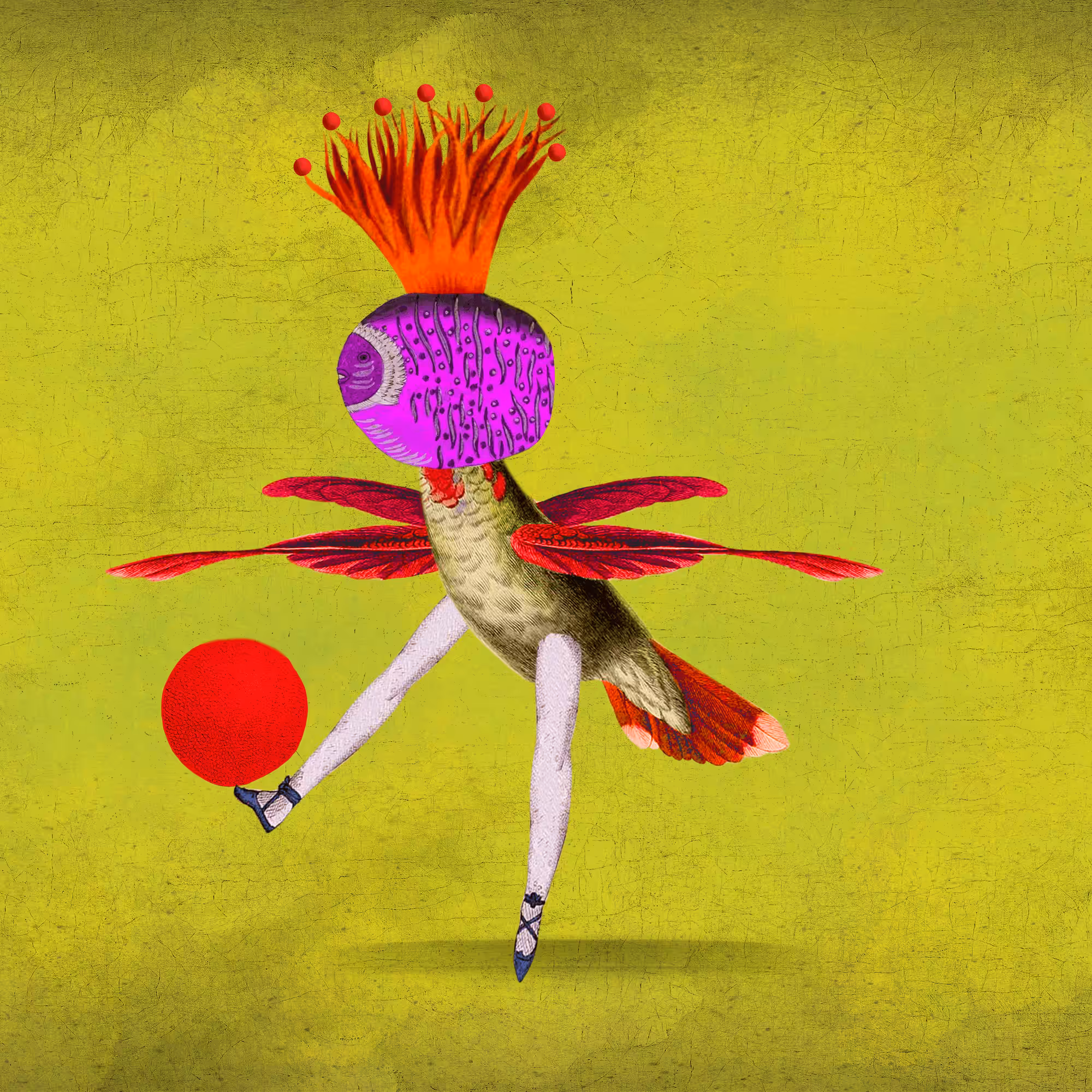 The Impossible Creatures: Impossible Creature #205