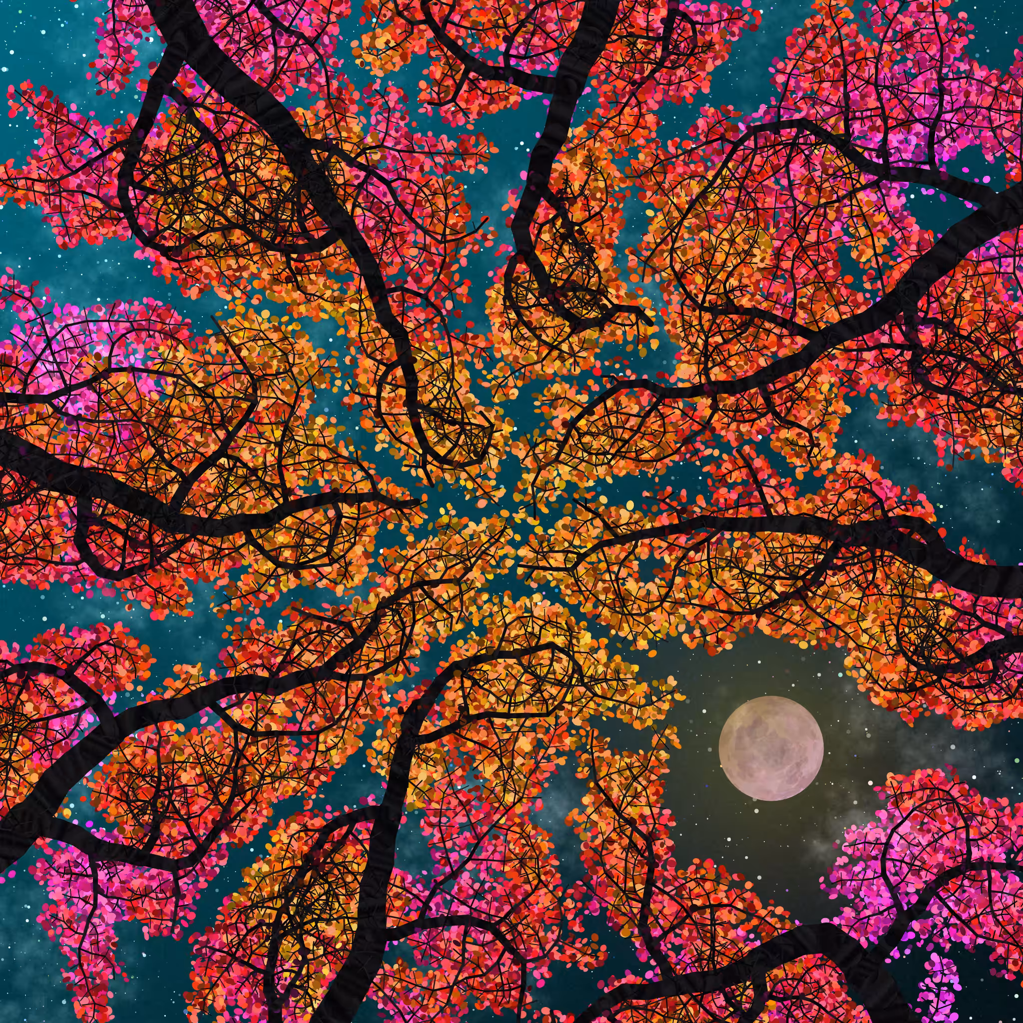 Tree Skyness #216