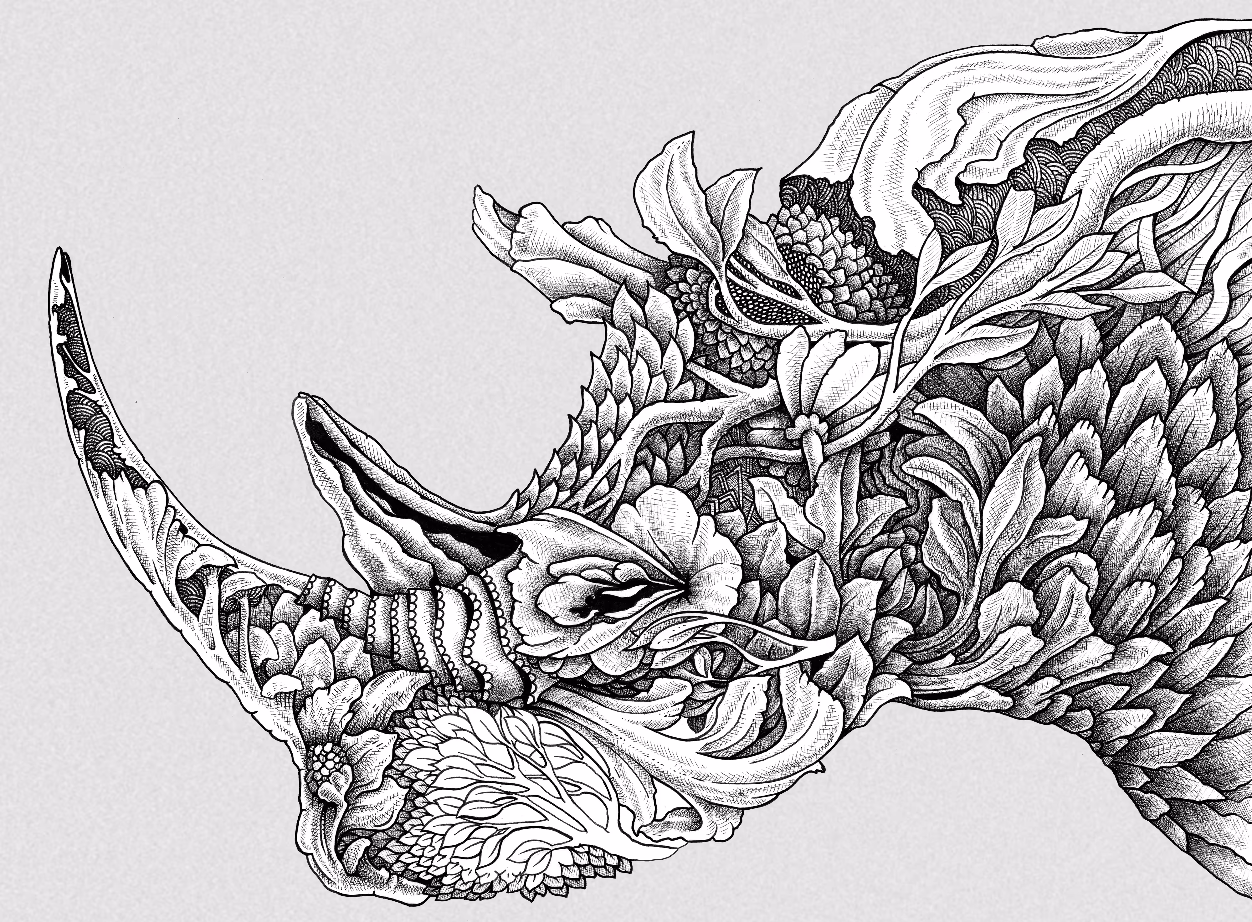 Rhino