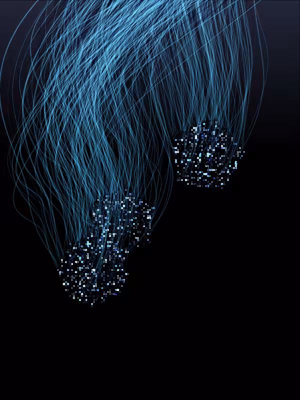 Jellyfish #40